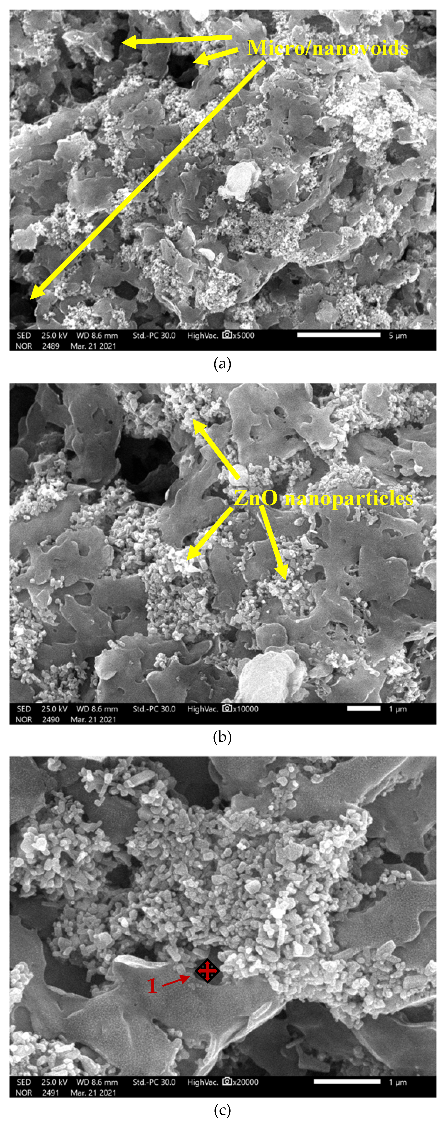Coatings 13 01729 g004a