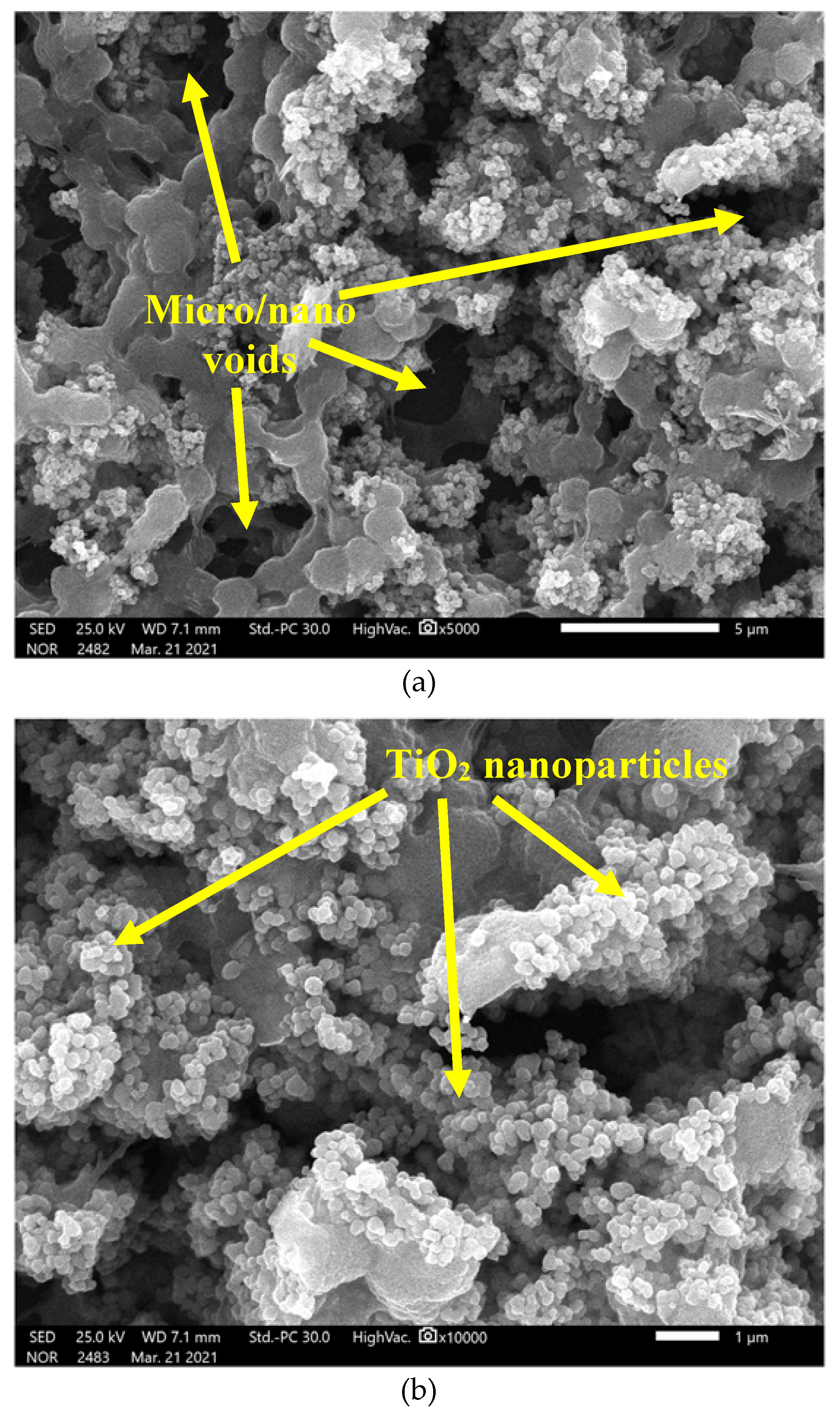 Coatings 13 01729 g005a