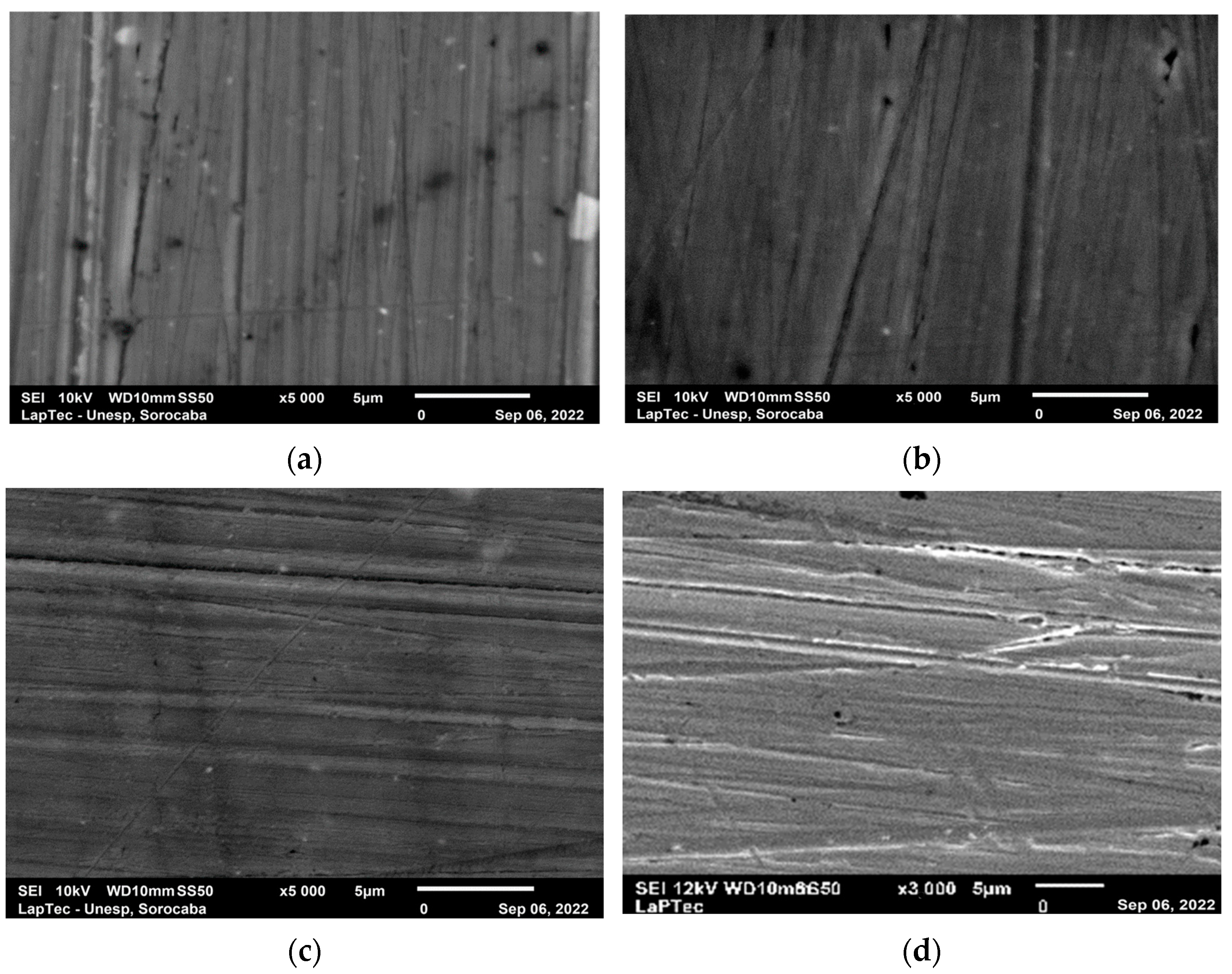 Coatings 13 01730 g001