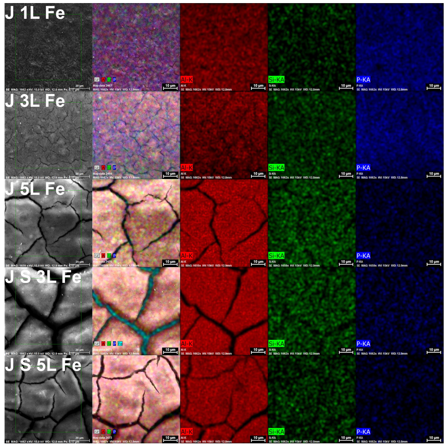 Coatings 13 01731 g011