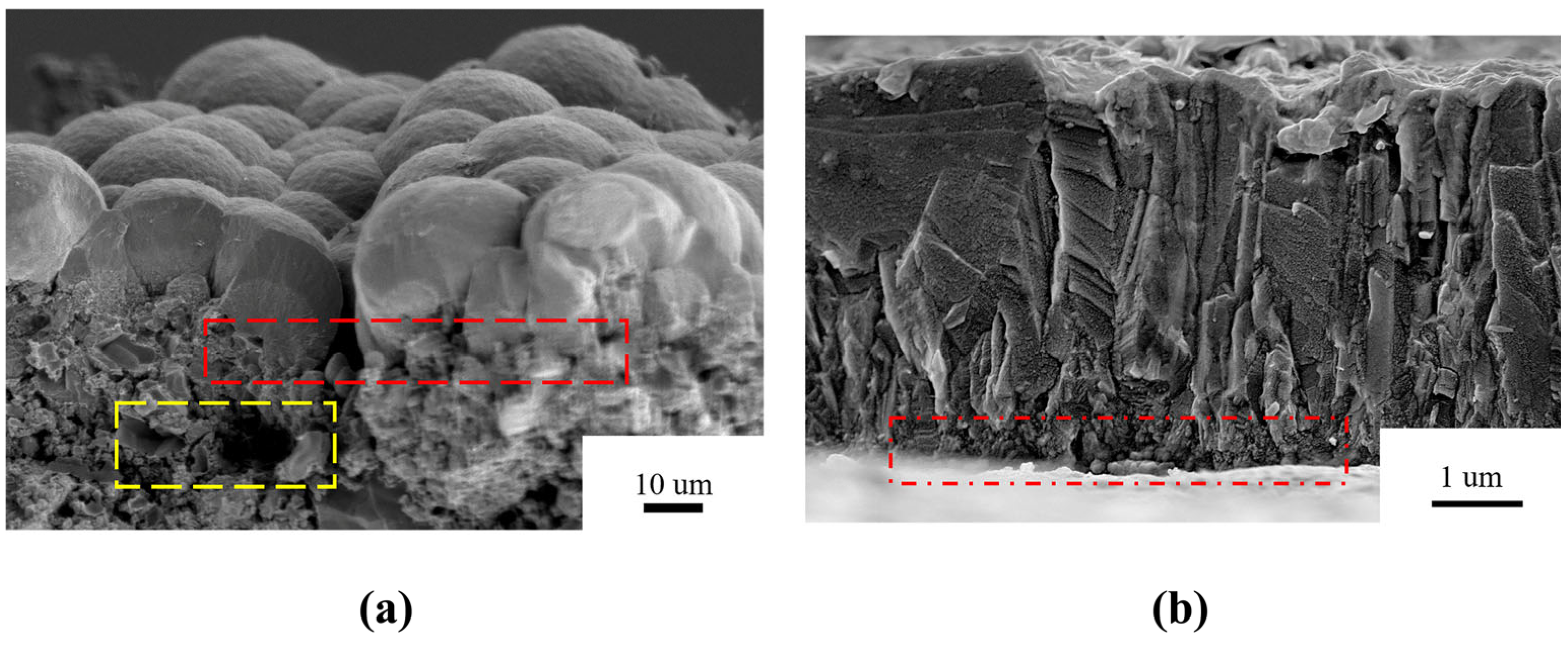 Coatings 13 01735 g002
