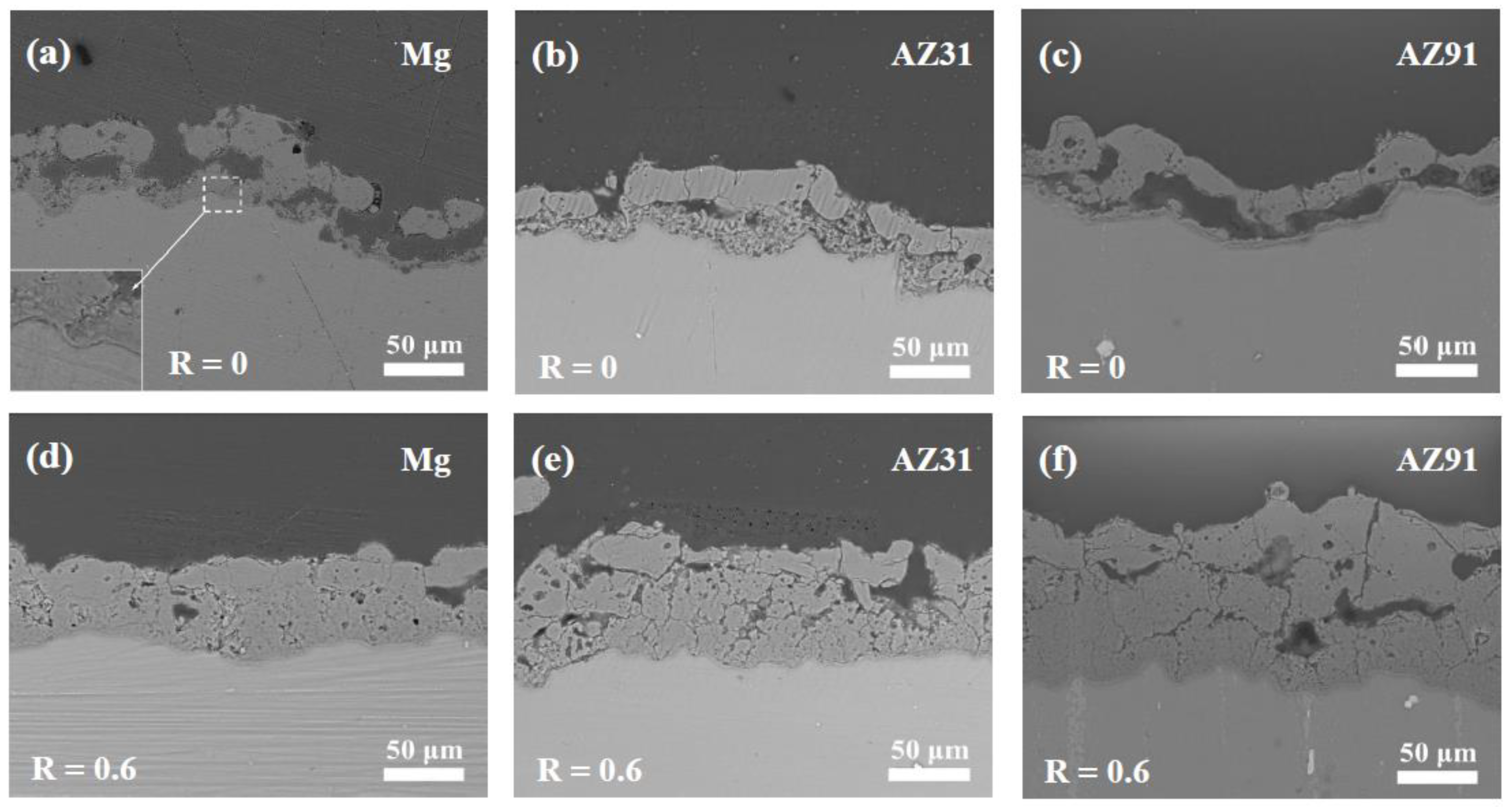 Coatings 13 01736 g009
