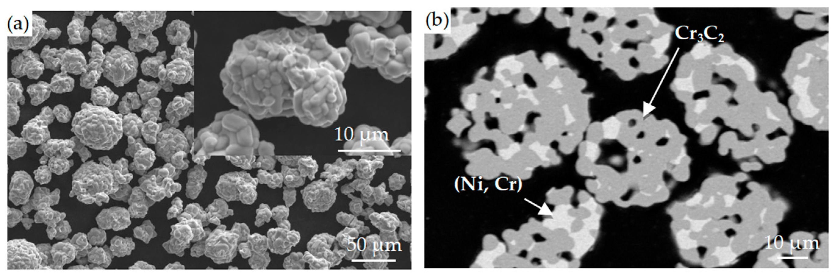 Coatings 13 01741 g001
