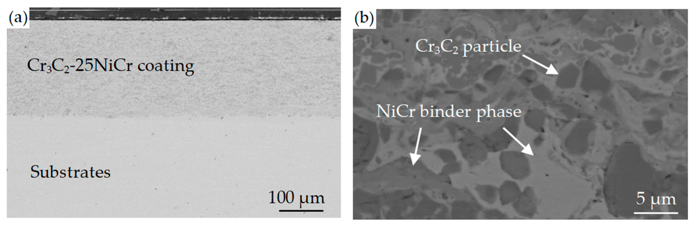 Coatings 13 01741 g004