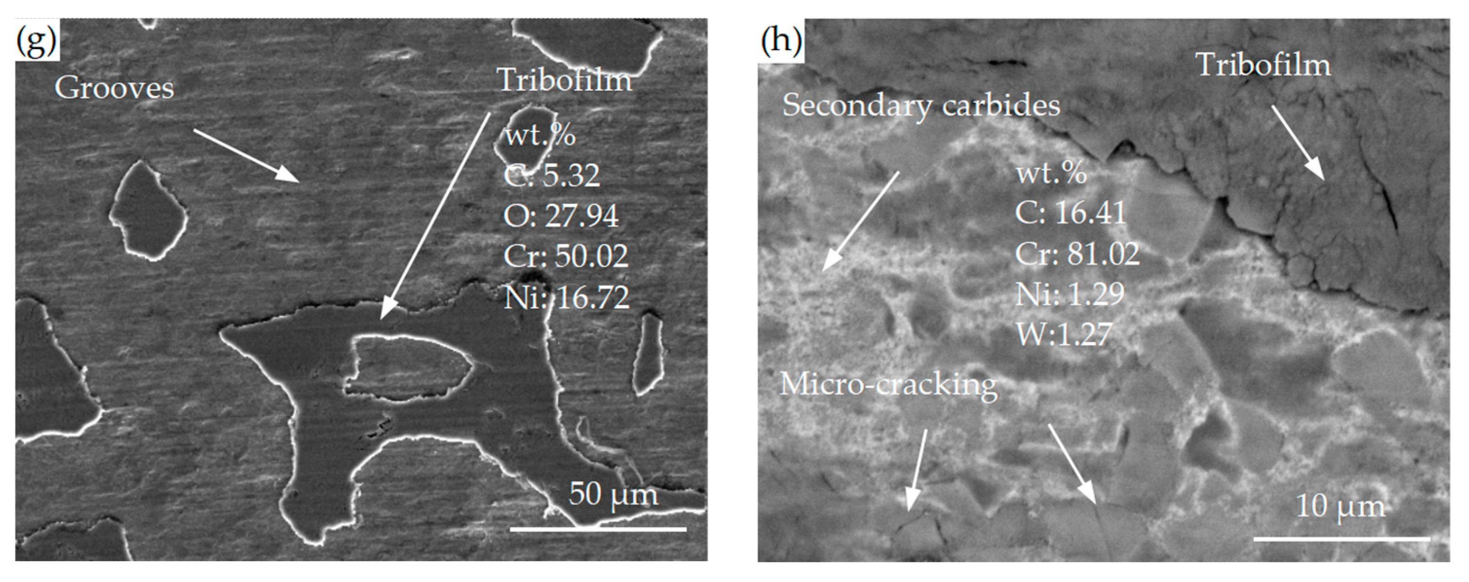 Coatings 13 01741 g012b