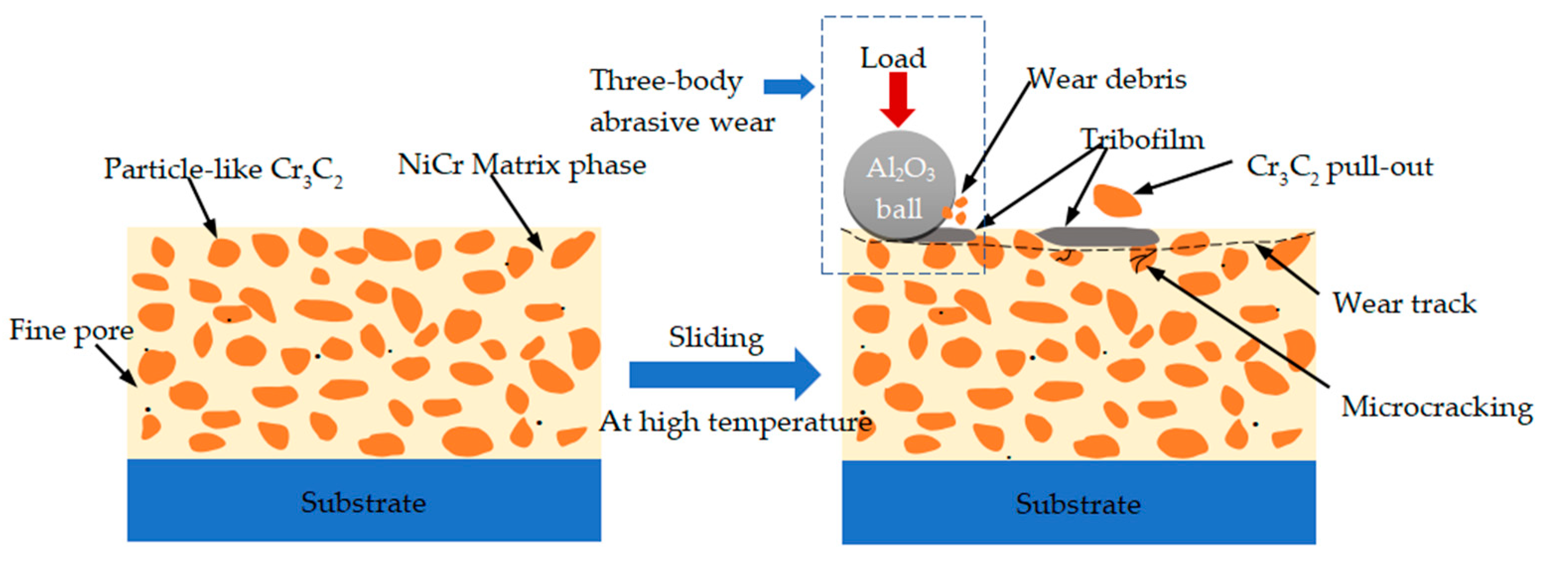 Coatings 13 01741 g013