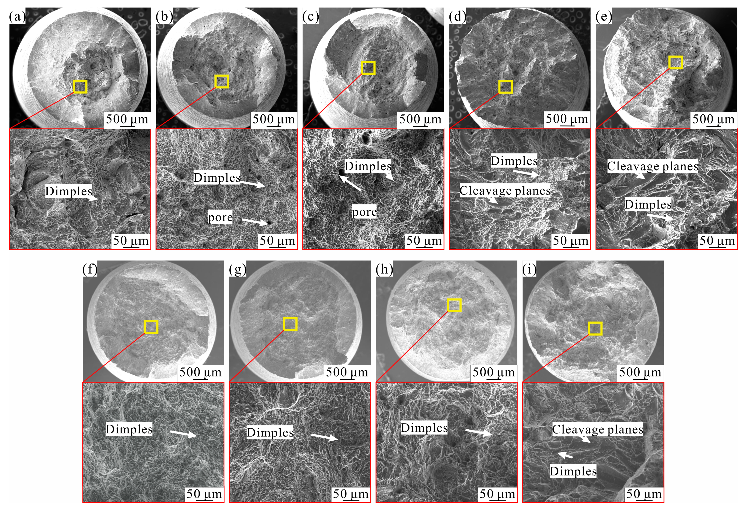 Coatings 13 01742 g008