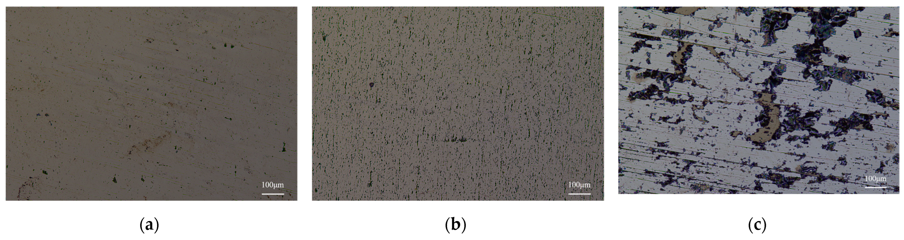 Coatings 13 01743 g001