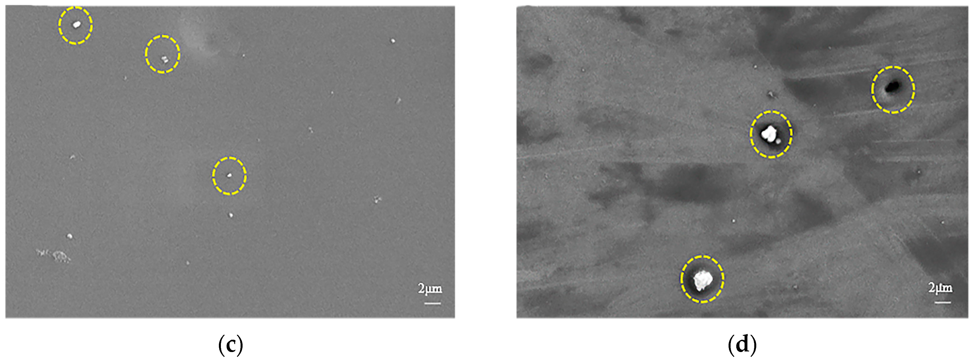 Coatings 13 01743 g002b