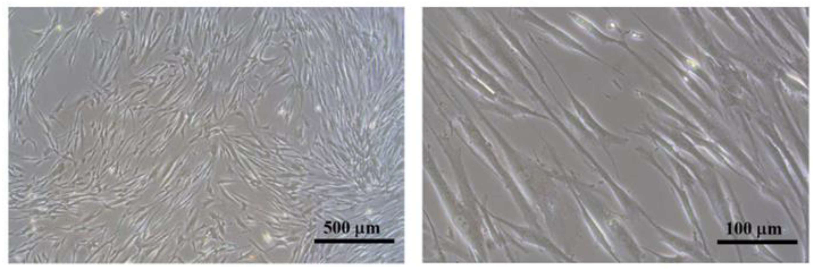 Coatings 13 01746 g001 Coatings 13 01746 g001