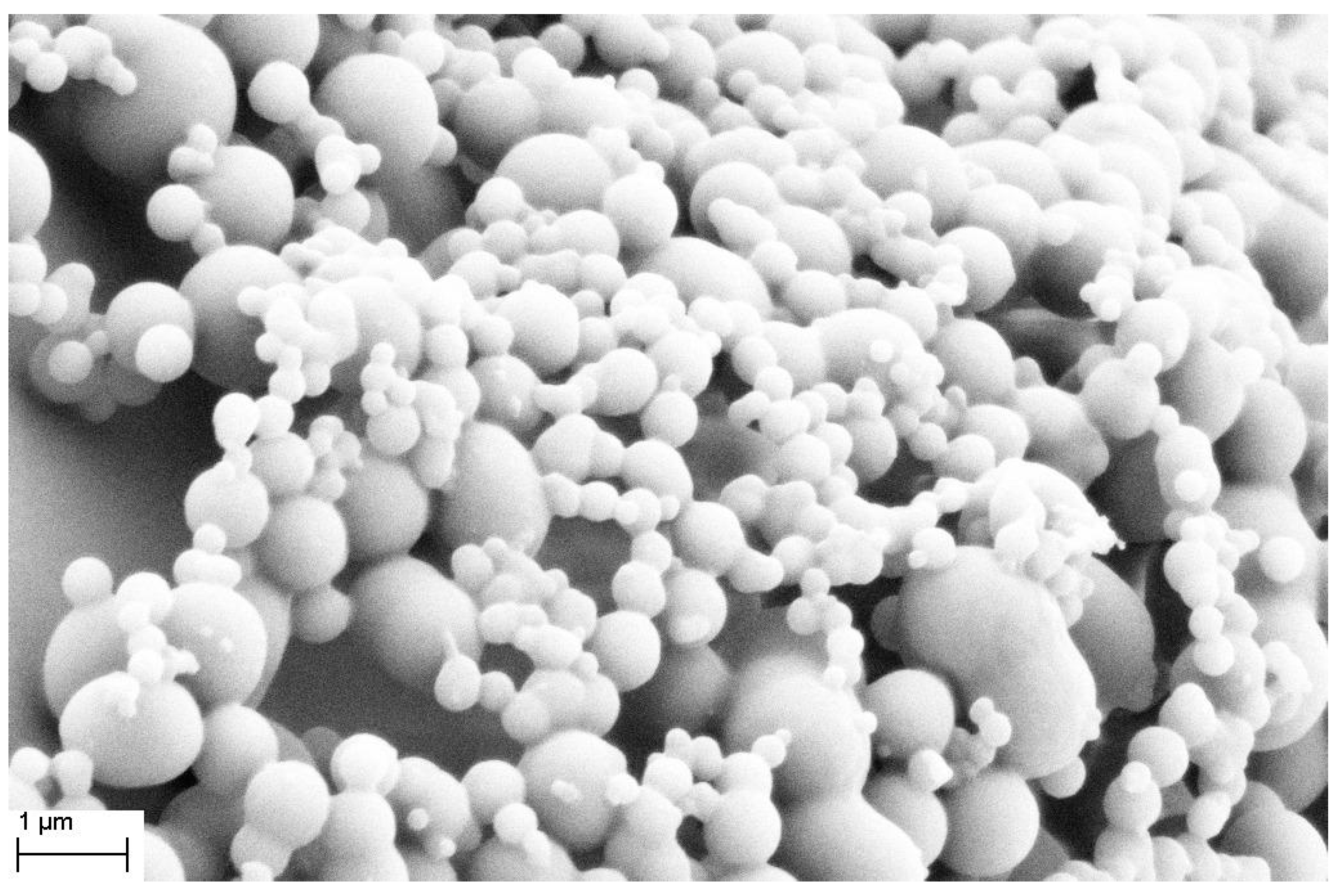 Coatings 13 01747 g004