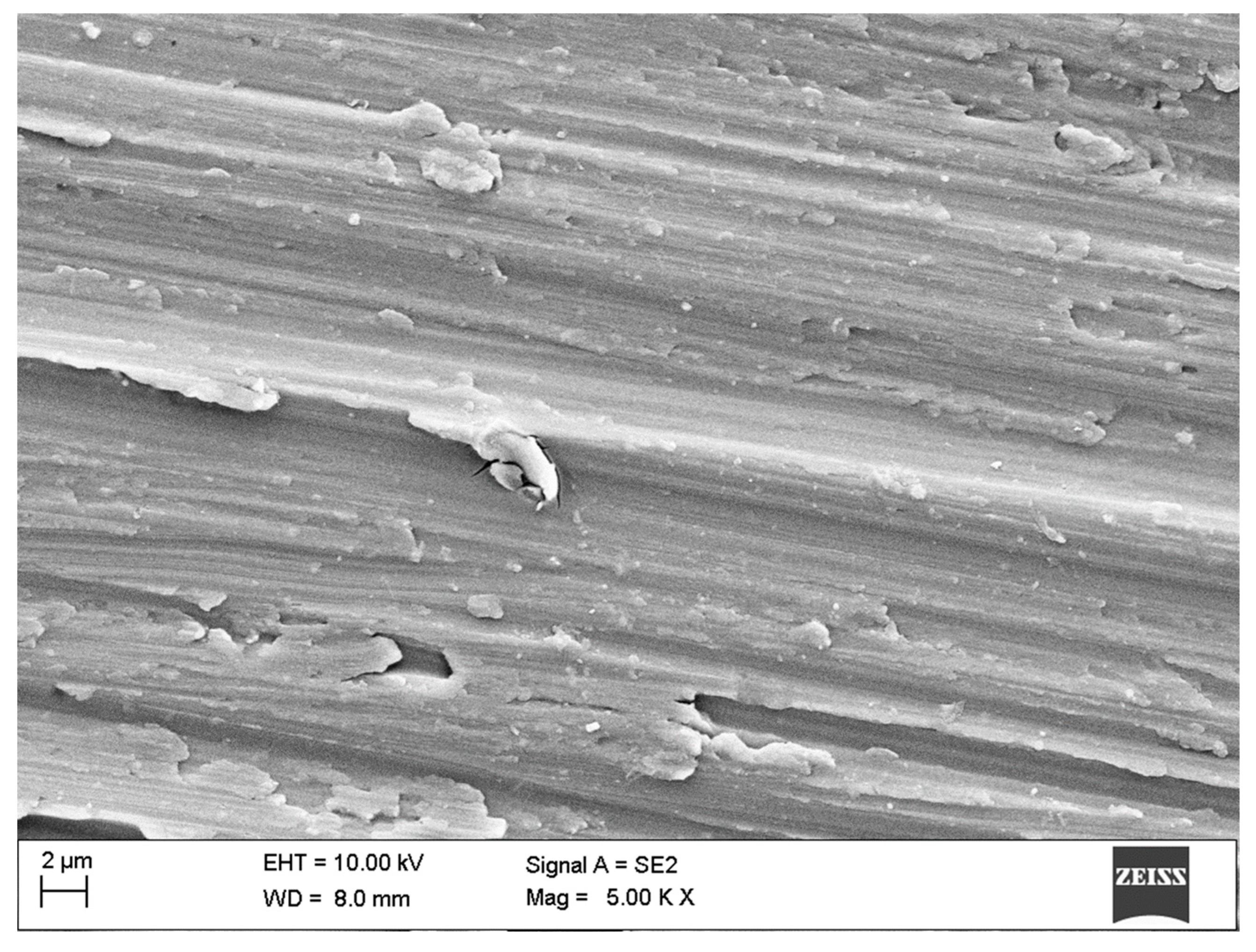 Coatings 13 01747 g008