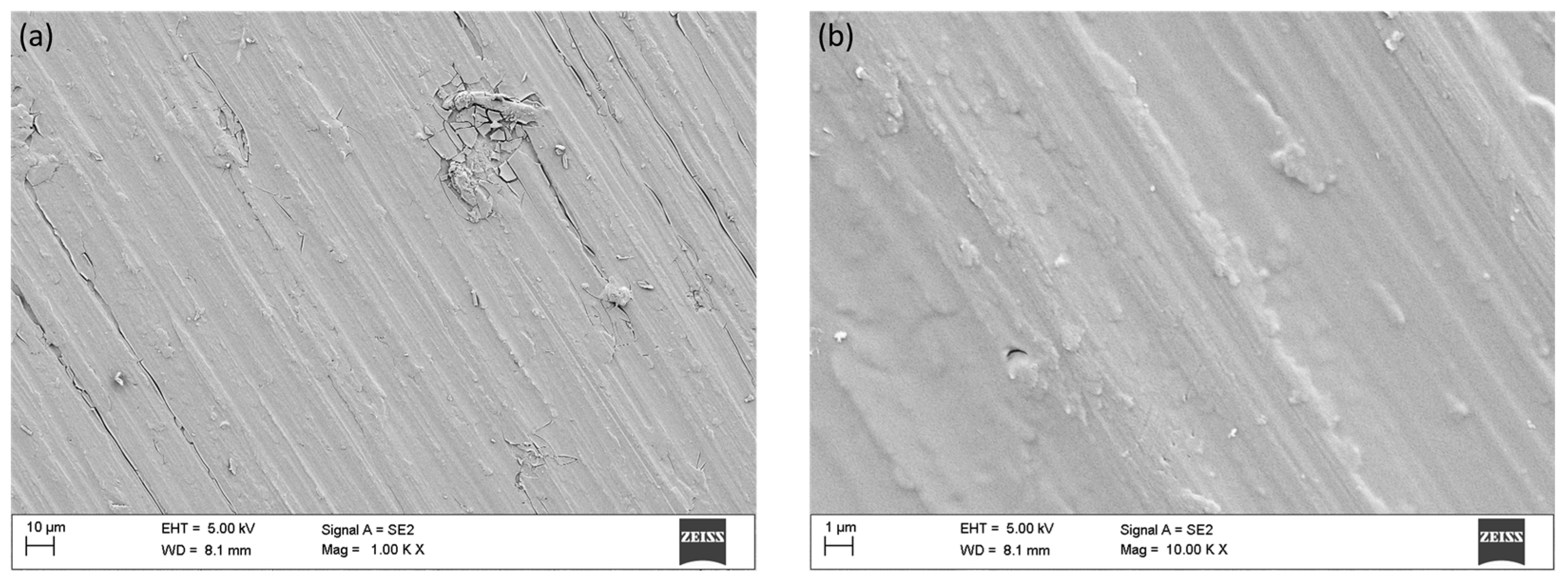 Coatings 13 01747 g009