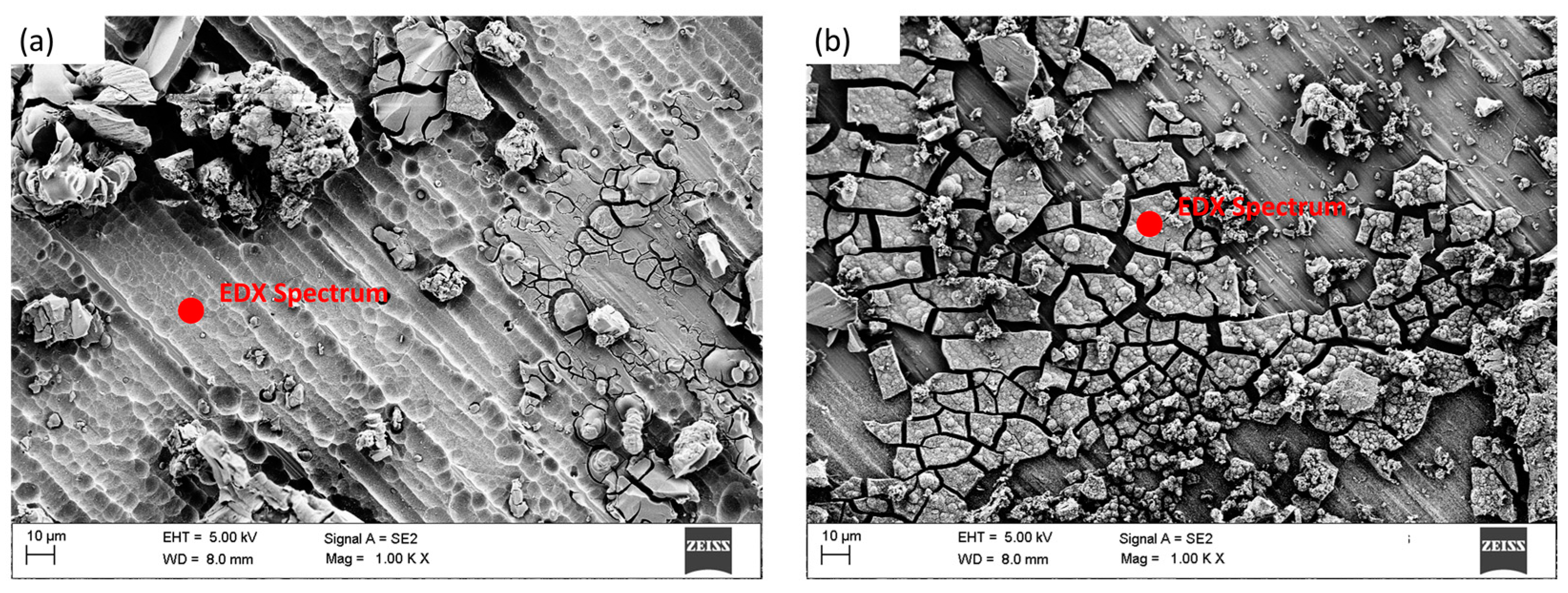 Coatings 13 01747 g011