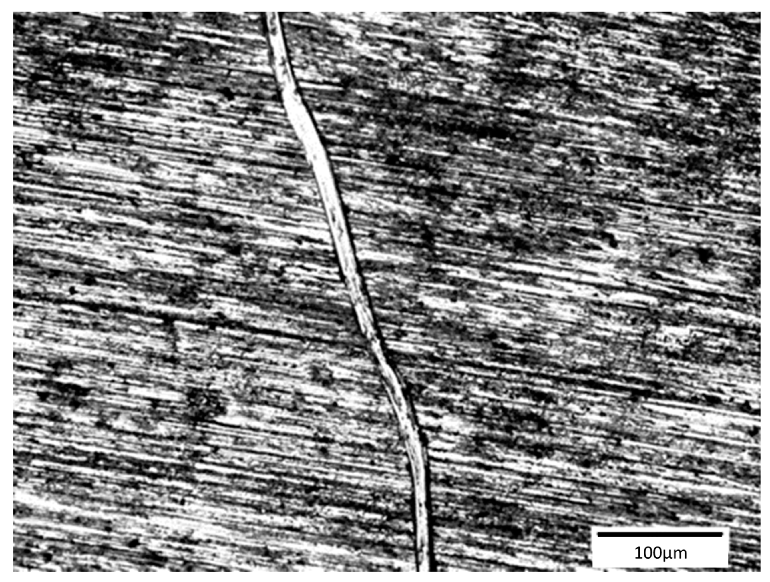 Coatings 13 01747 g015