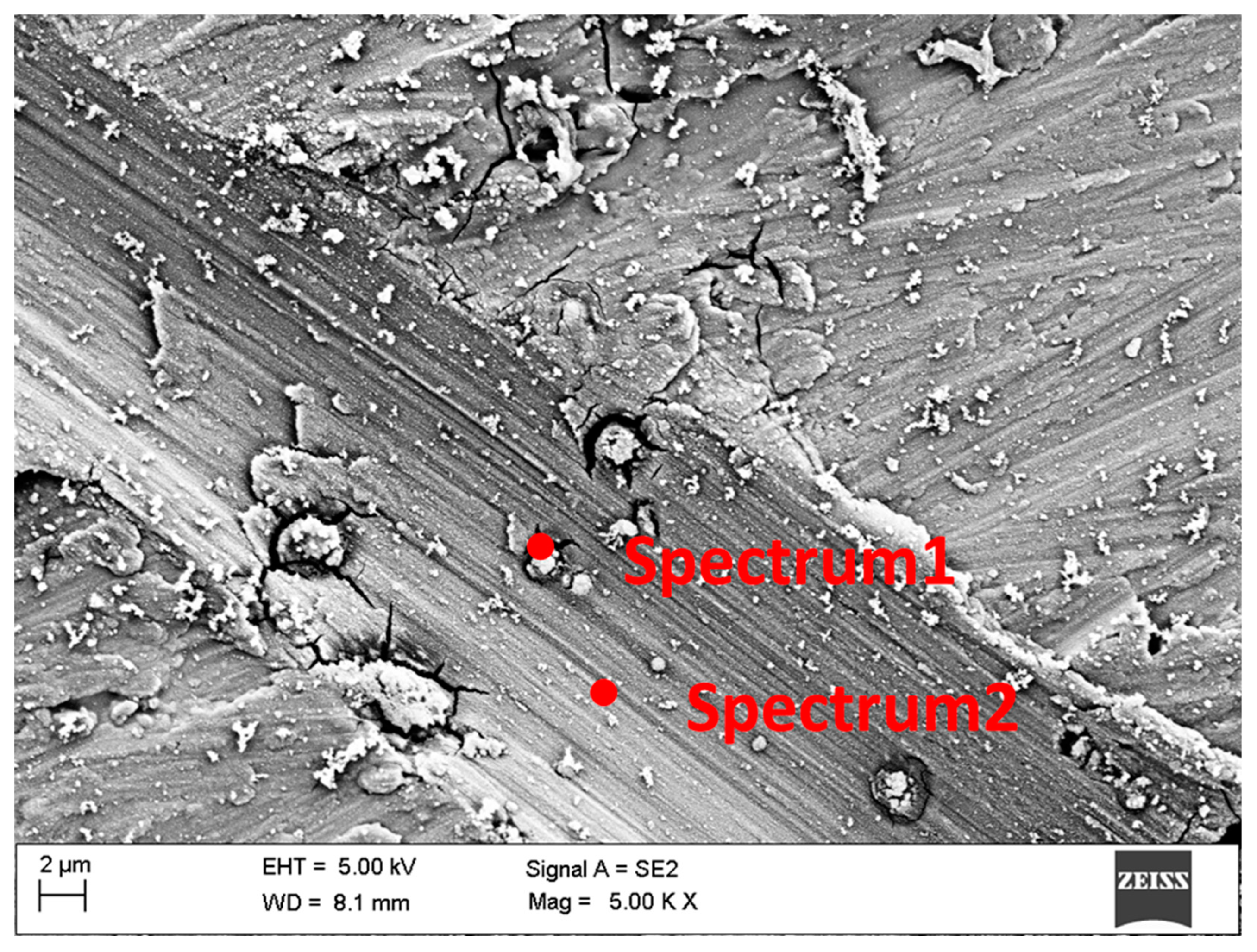 Coatings 13 01747 g019