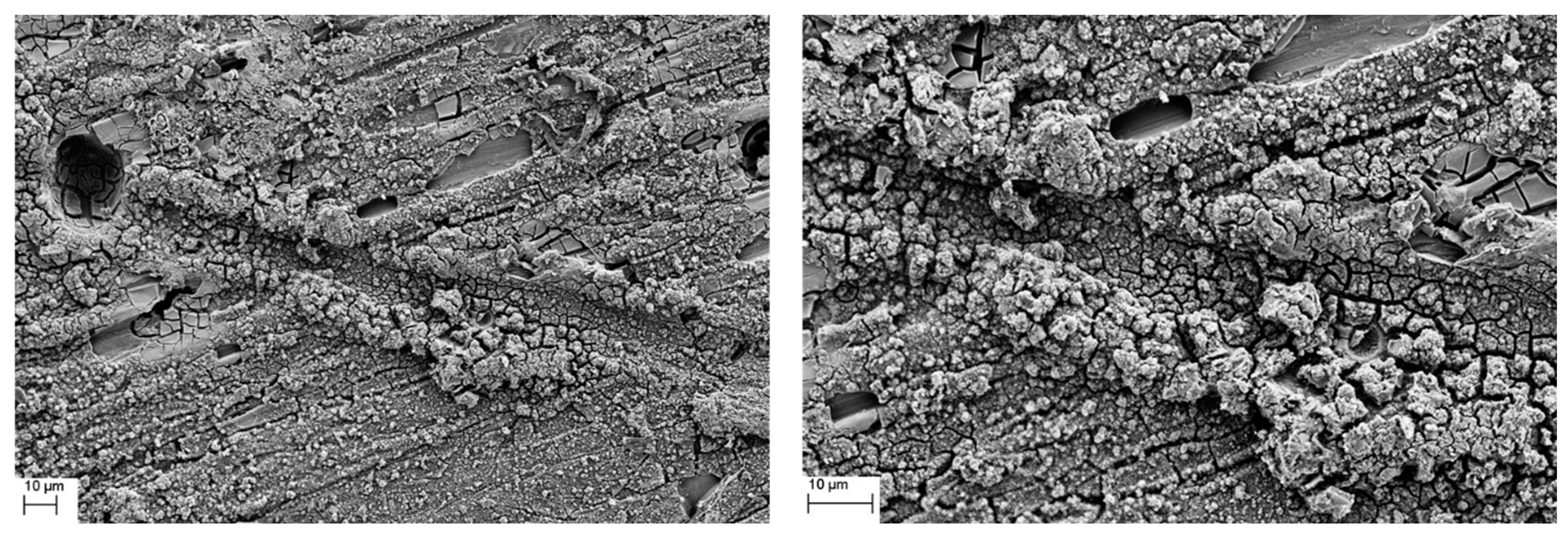 Coatings 13 01747 g021