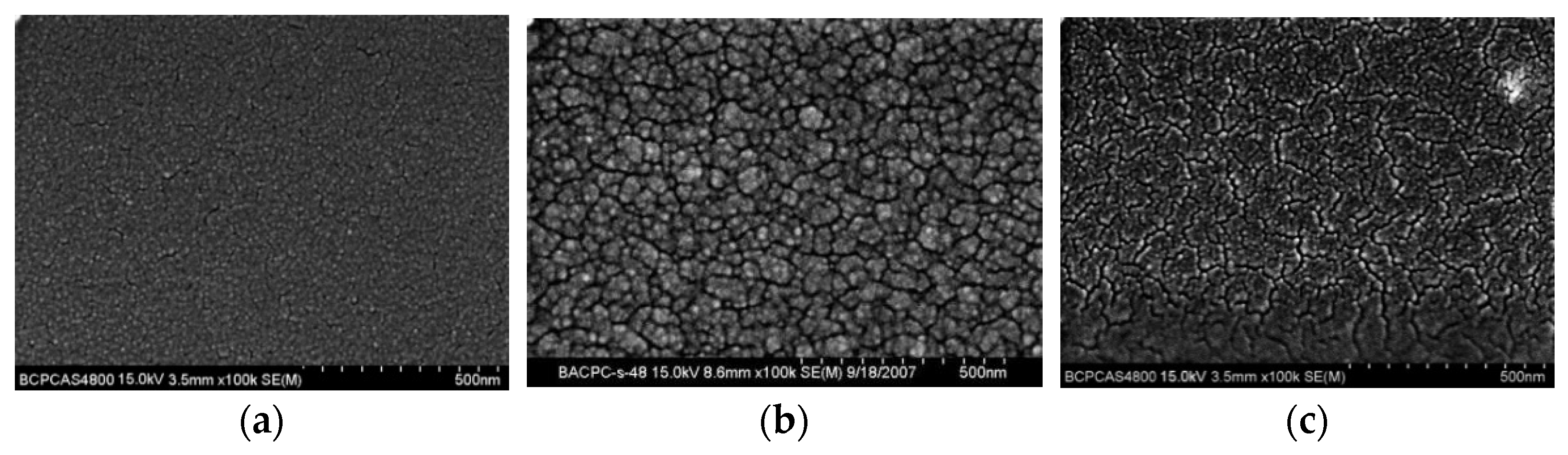 Coatings 13 01751 g010