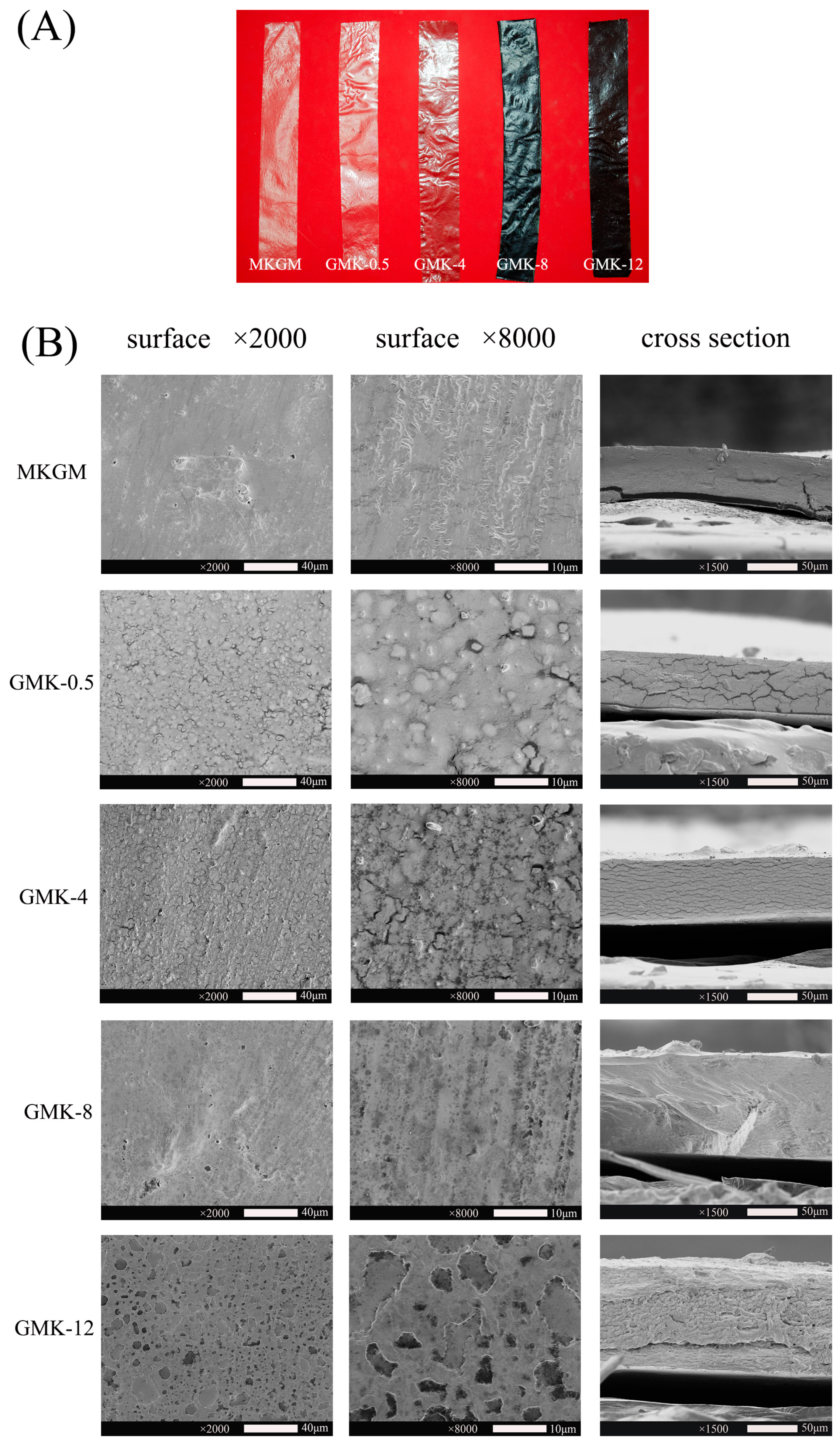 Coatings 13 01757 g003