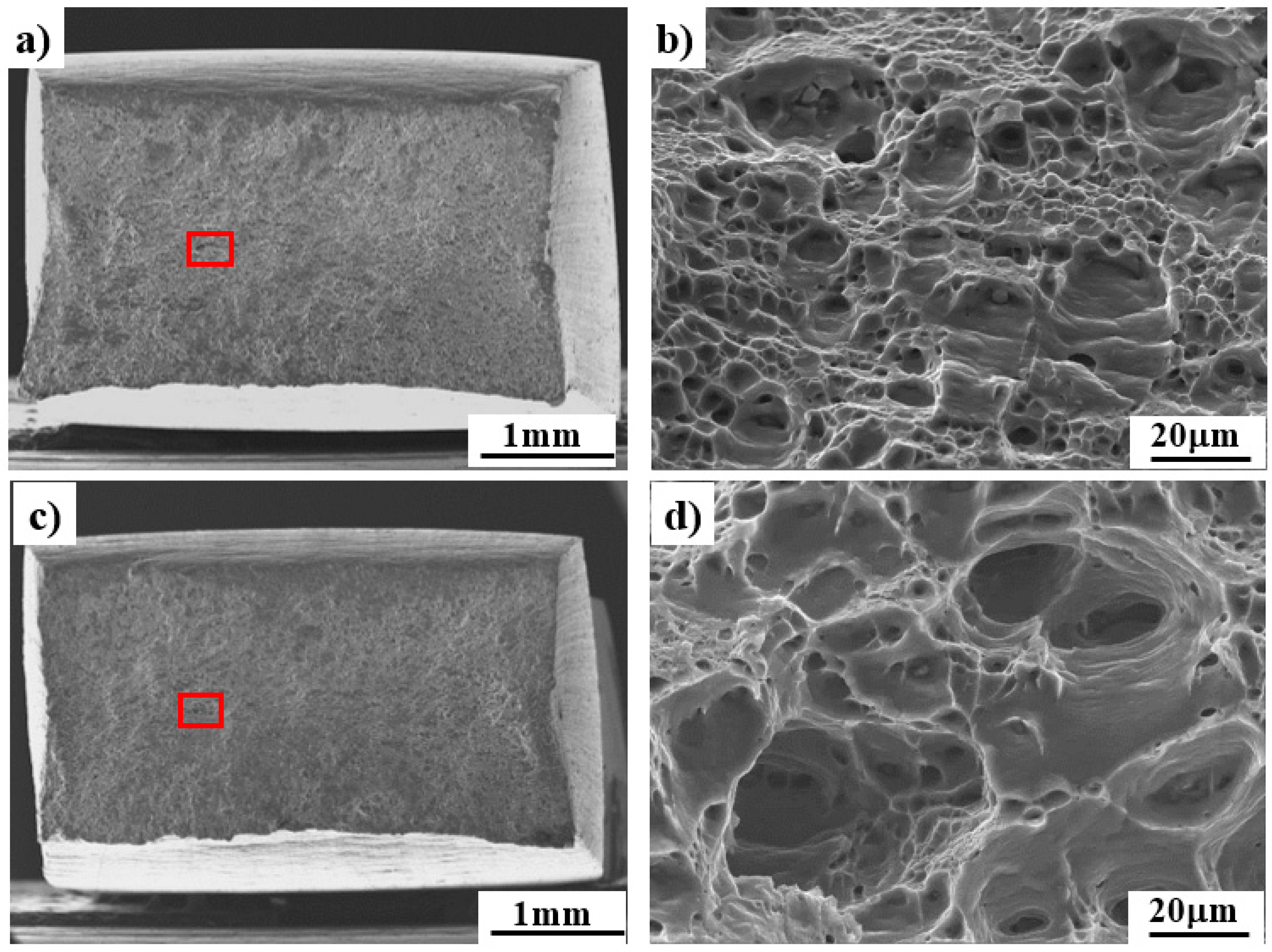 Coatings 13 01758 g006a
