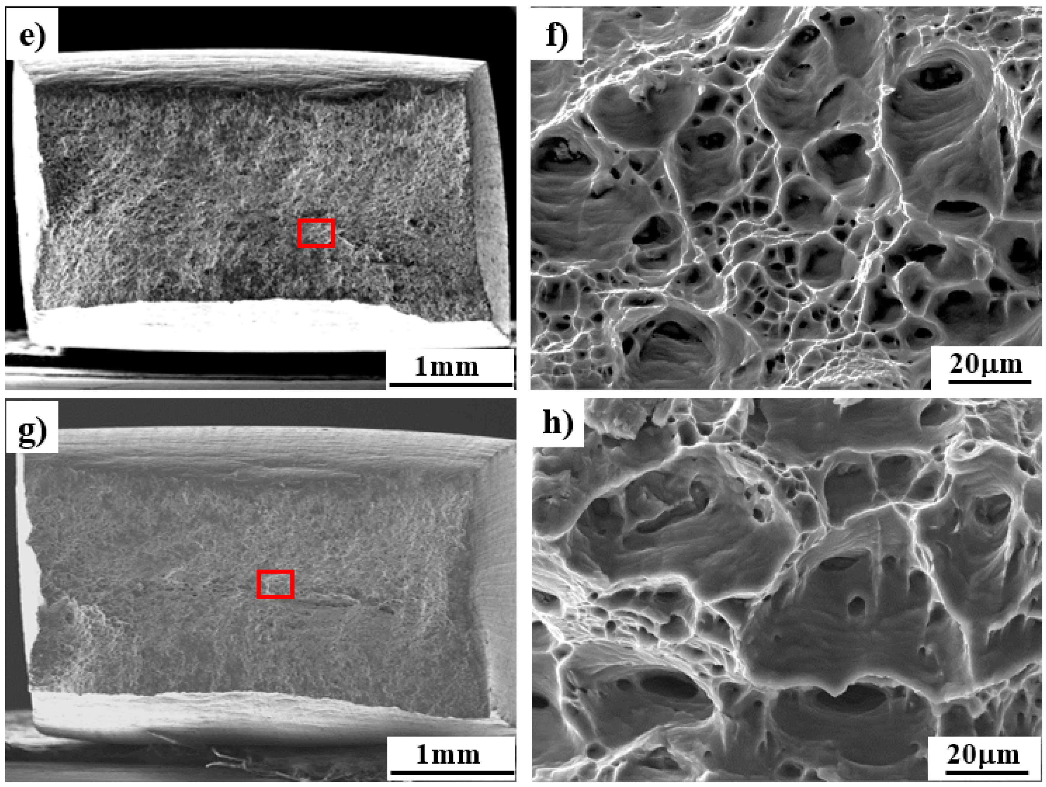 Coatings 13 01758 g006b