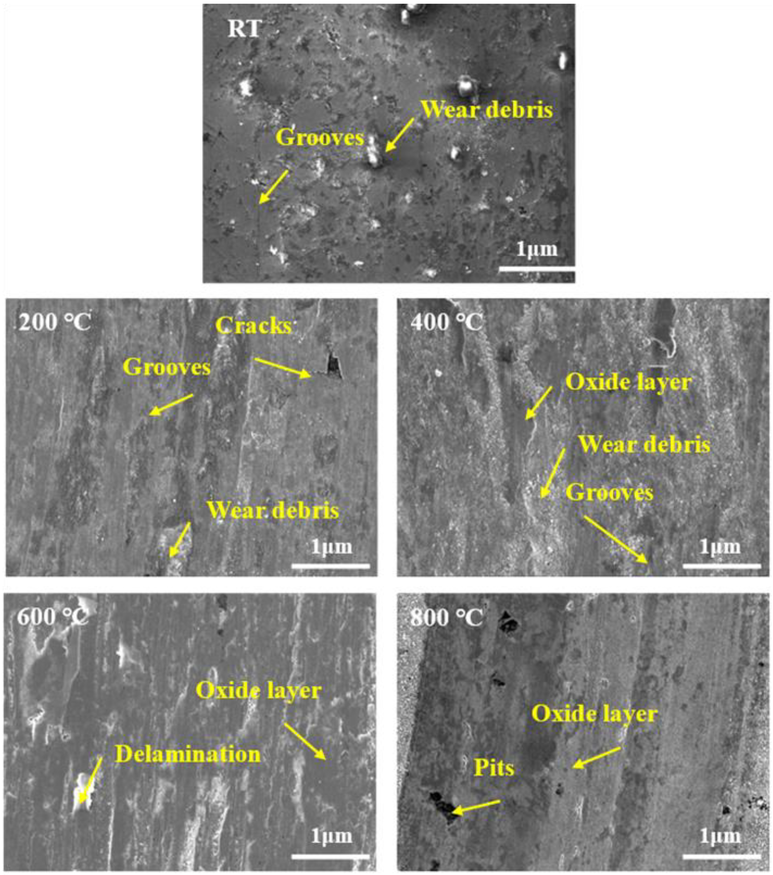 Coatings 13 01760 g006