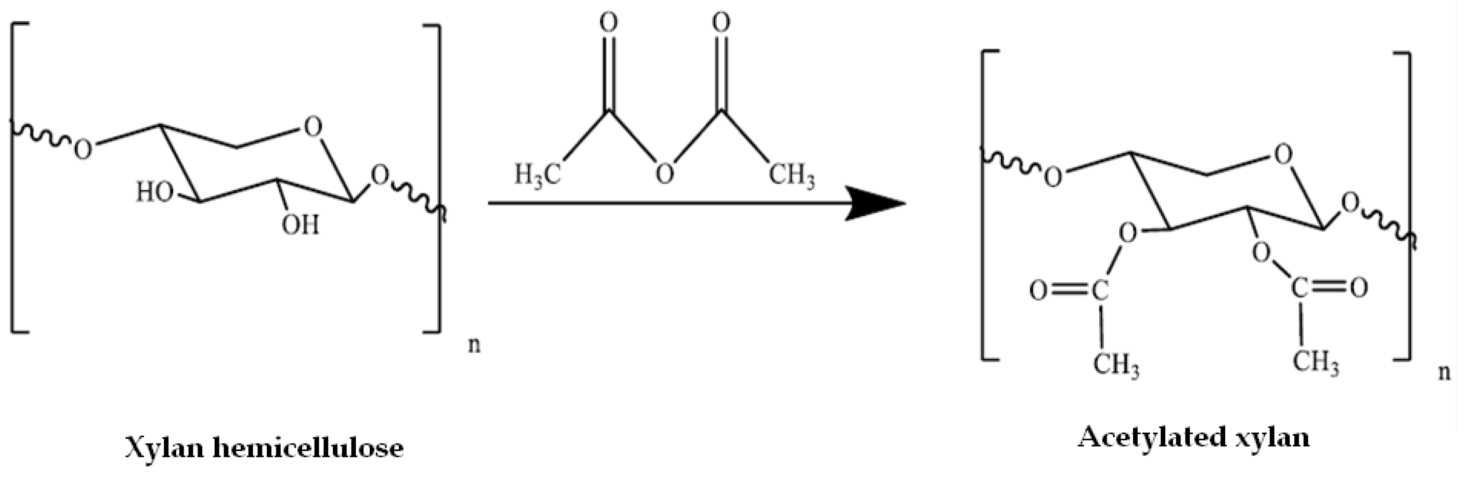 Coatings 13 01761 g002