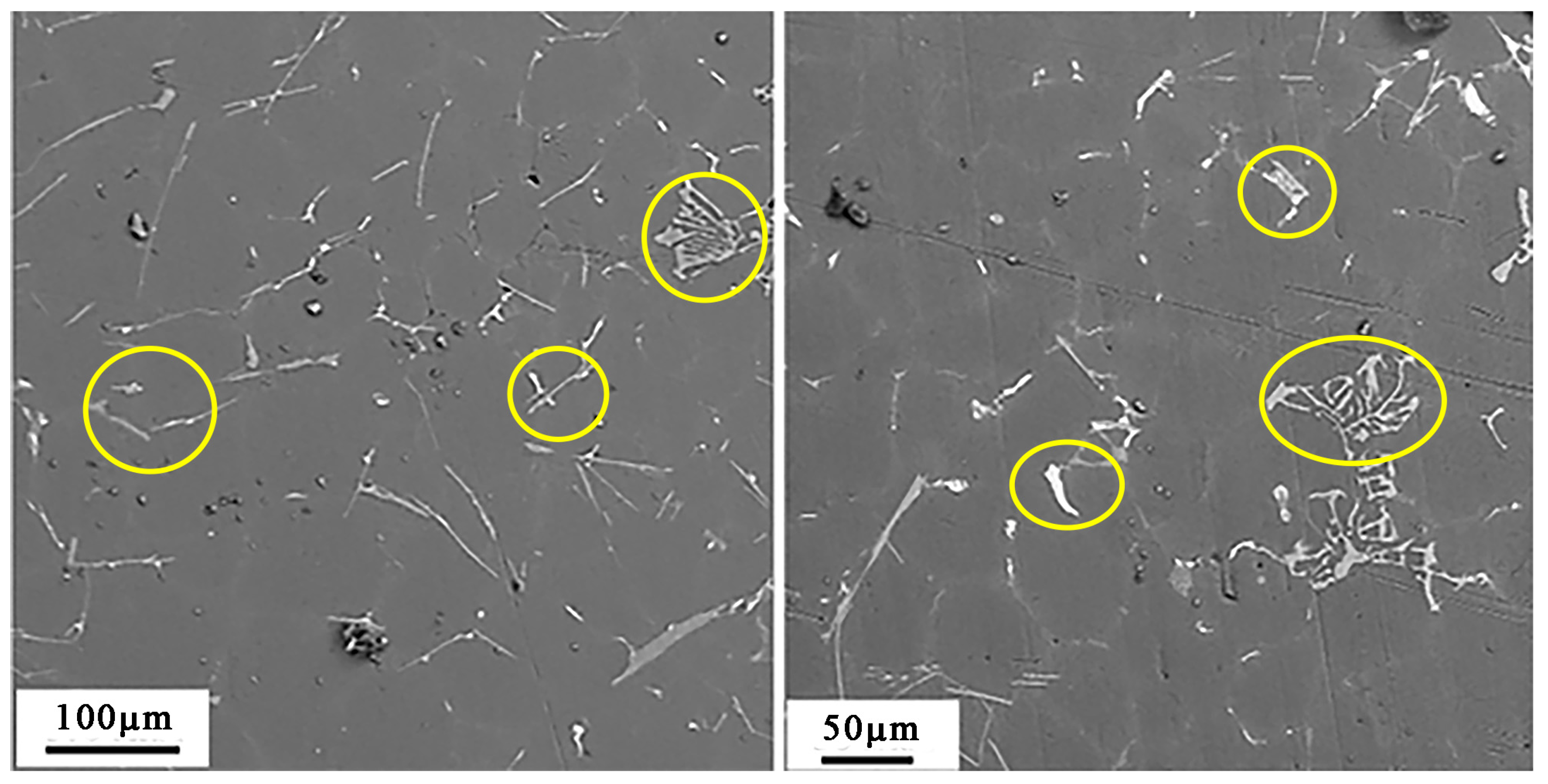 Coatings 13 01764 g001