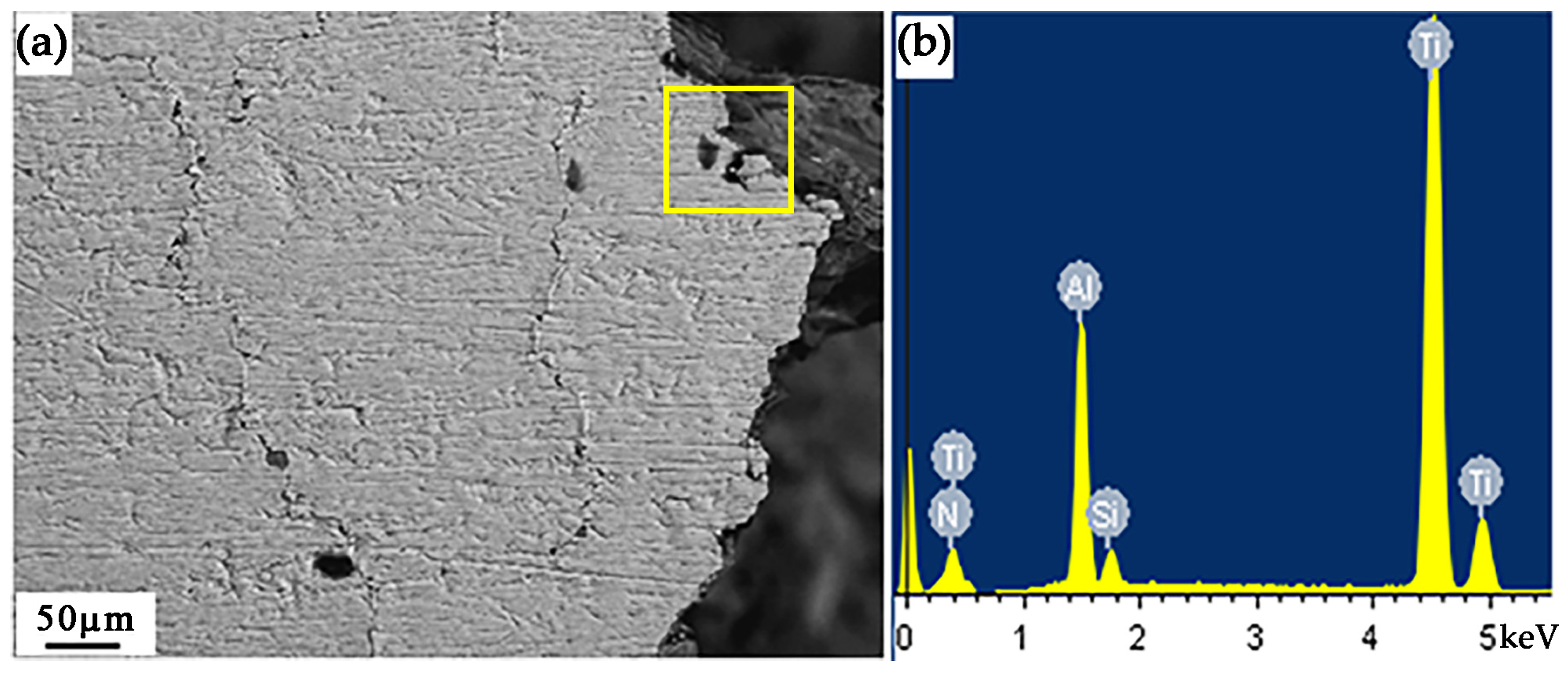 Coatings 13 01764 g002