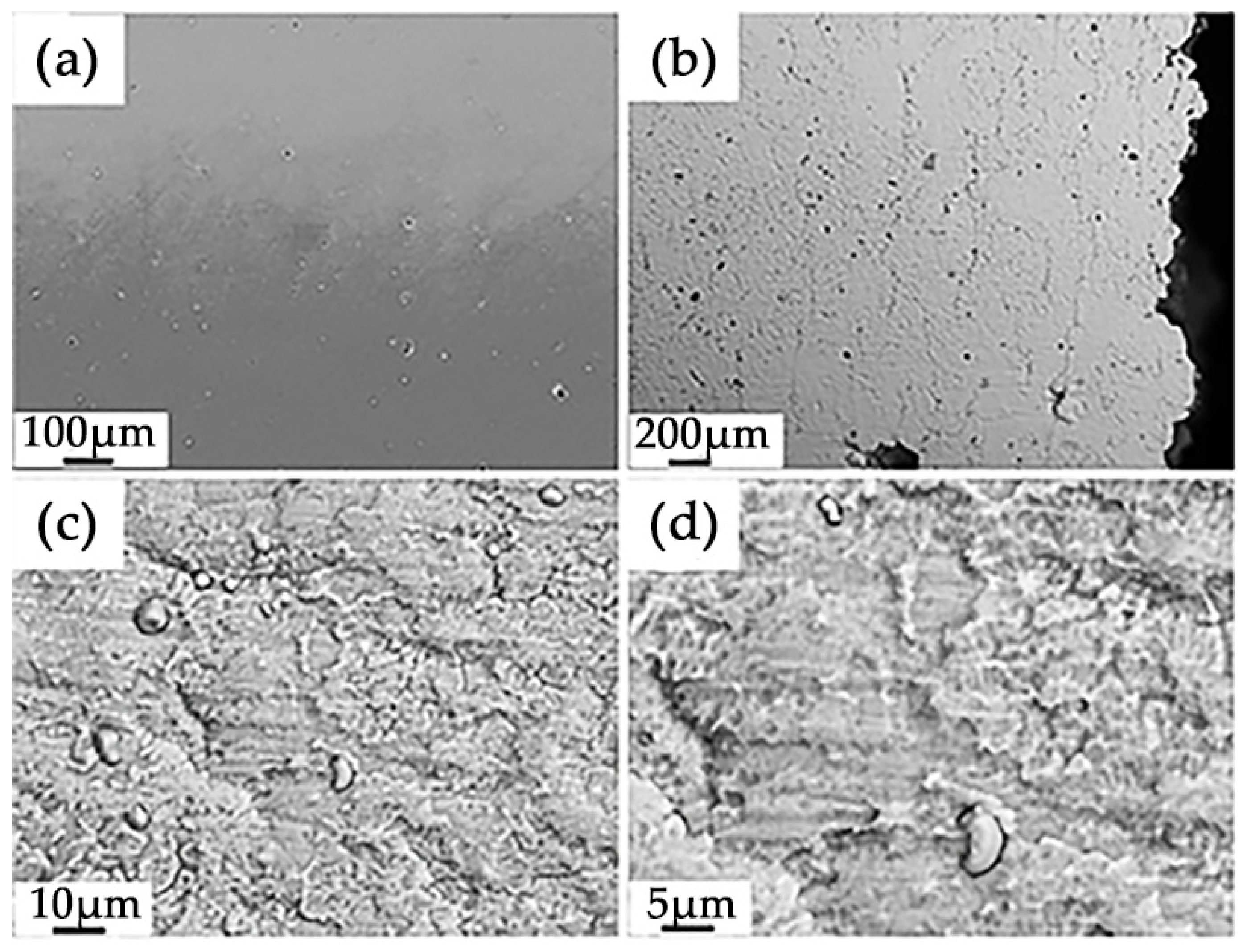 Coatings 13 01764 g006