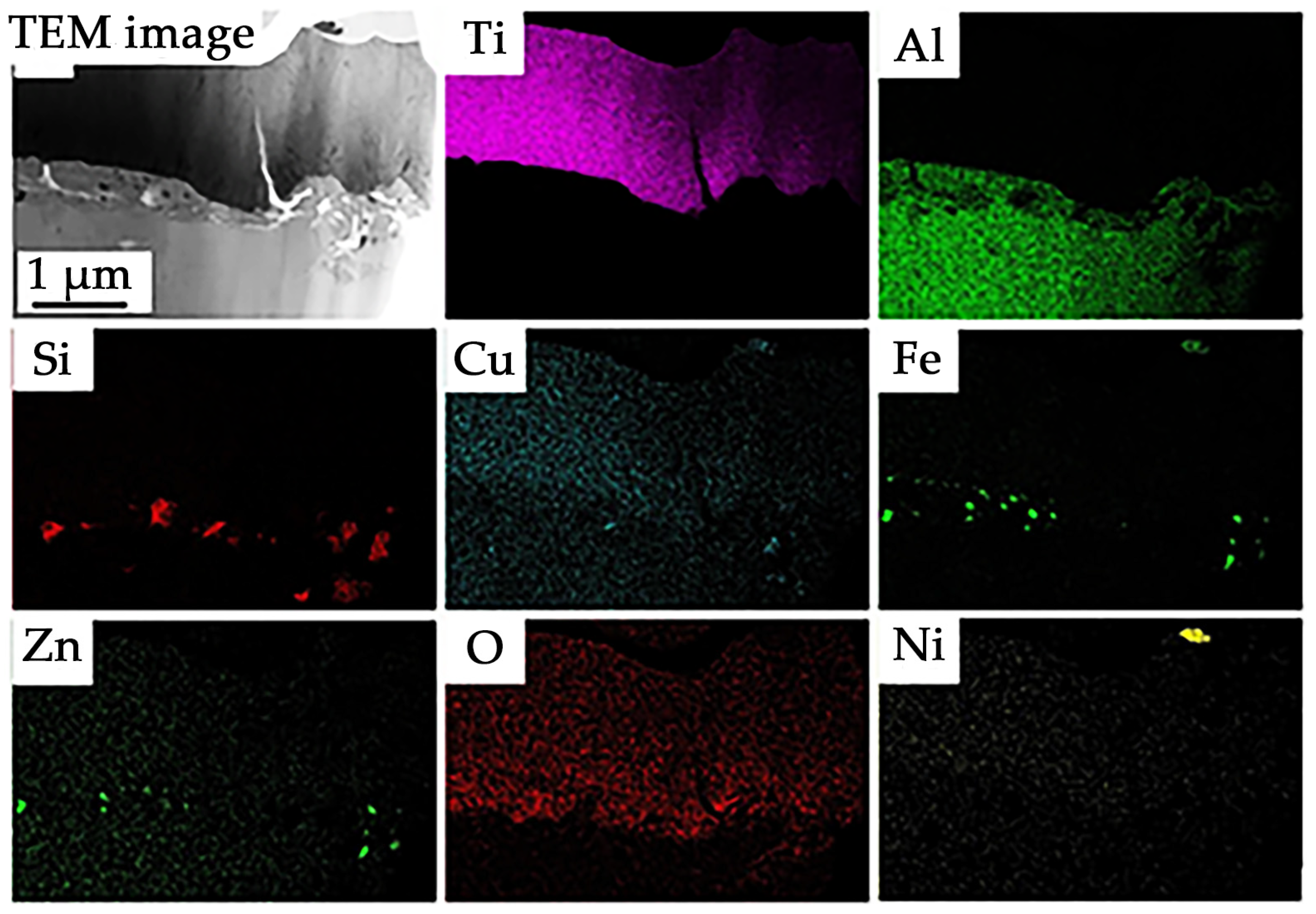 Coatings 13 01764 g008