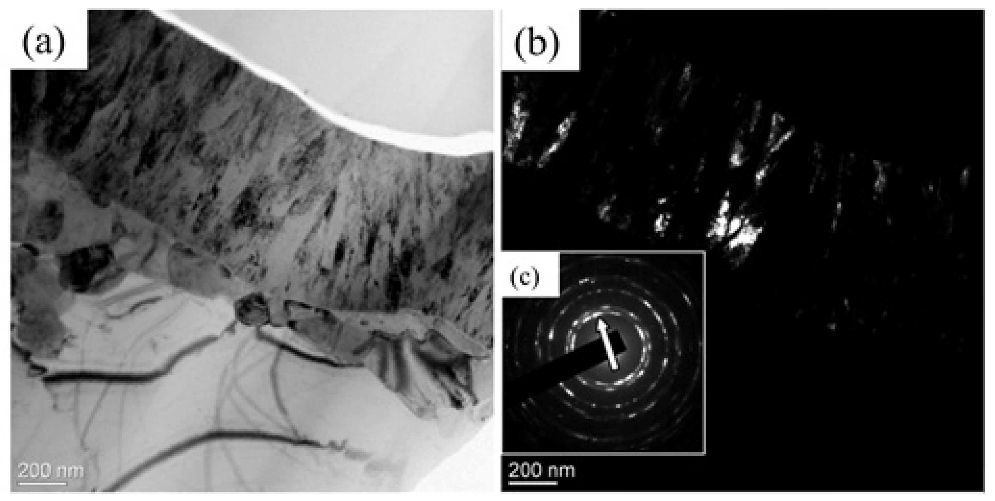 Coatings 13 01764 g009