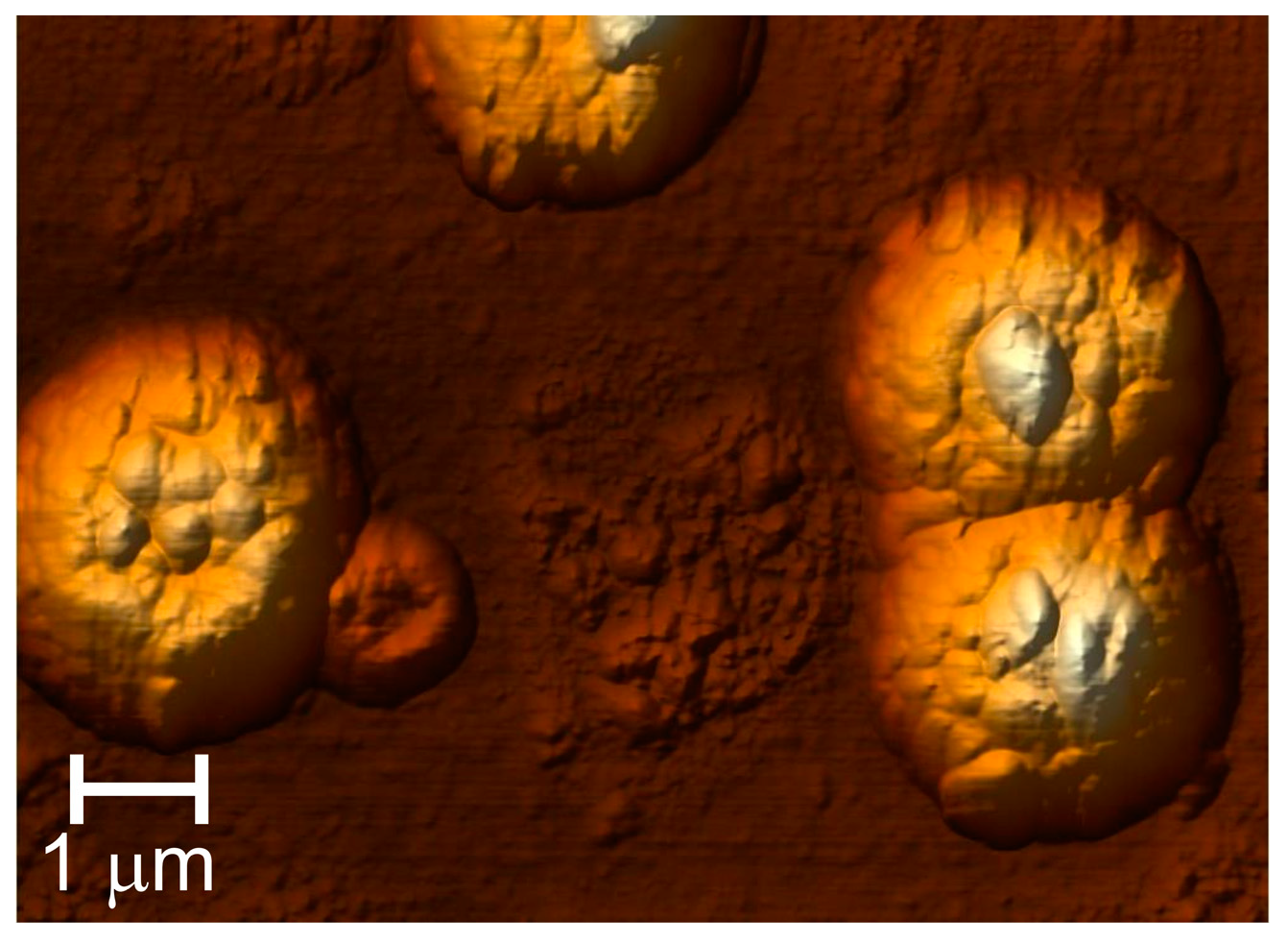 Coatings 13 01765 g003