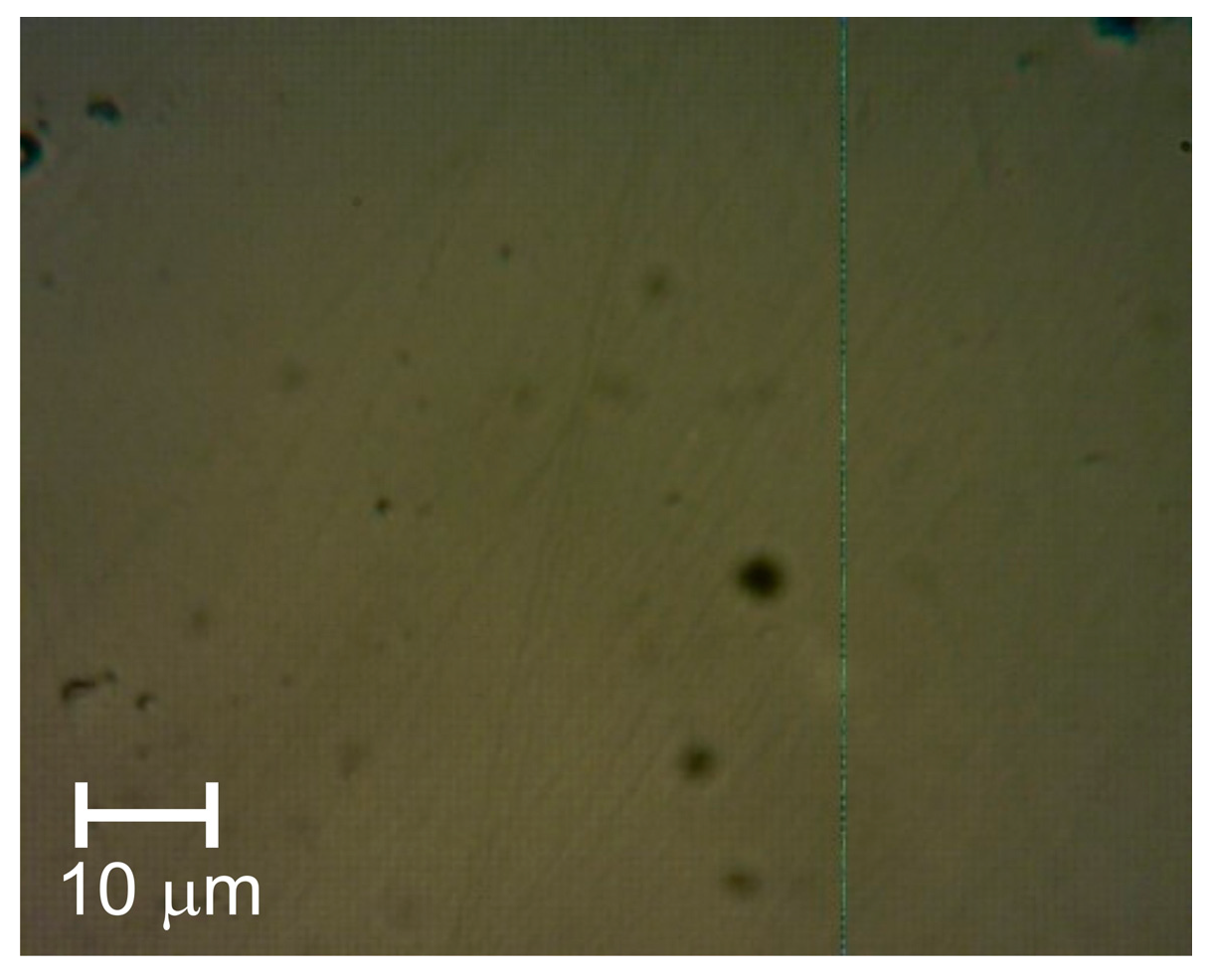 Coatings 13 01765 g004