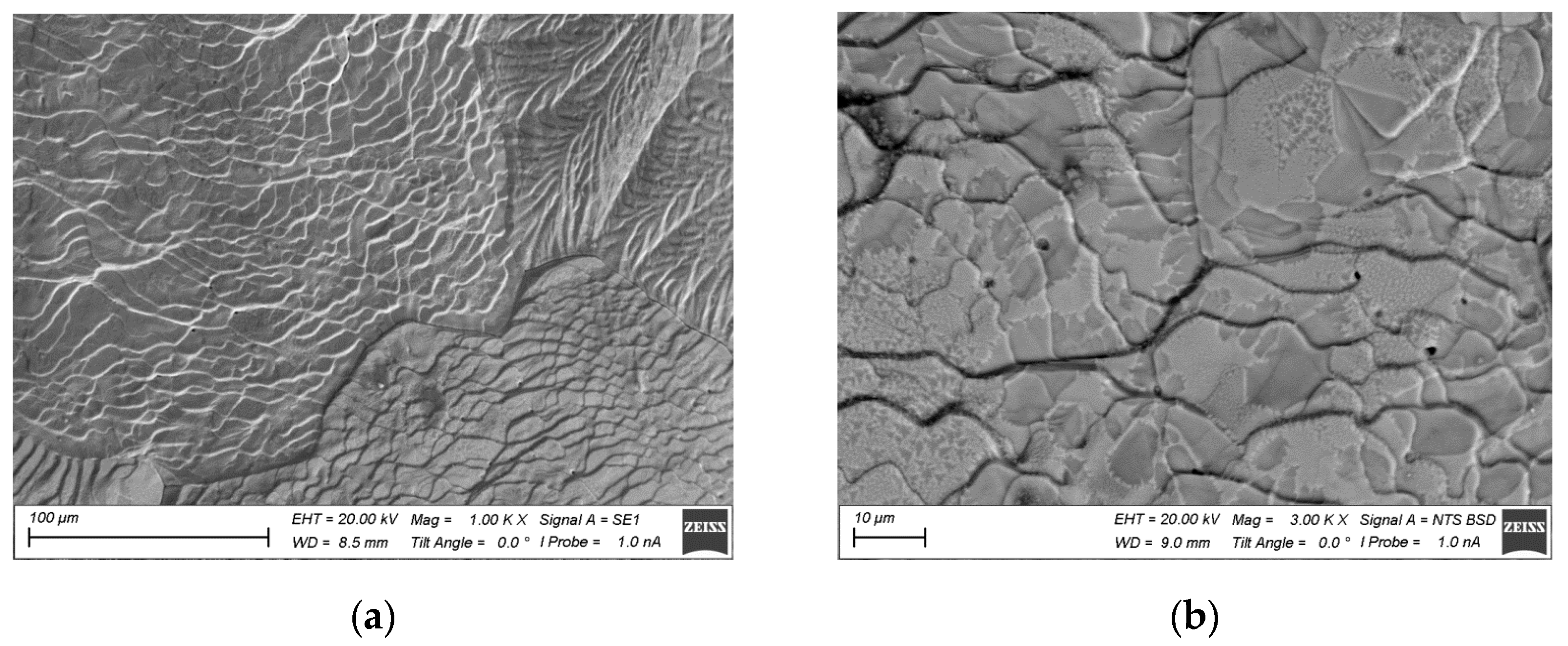 Coatings 13 01766 g006