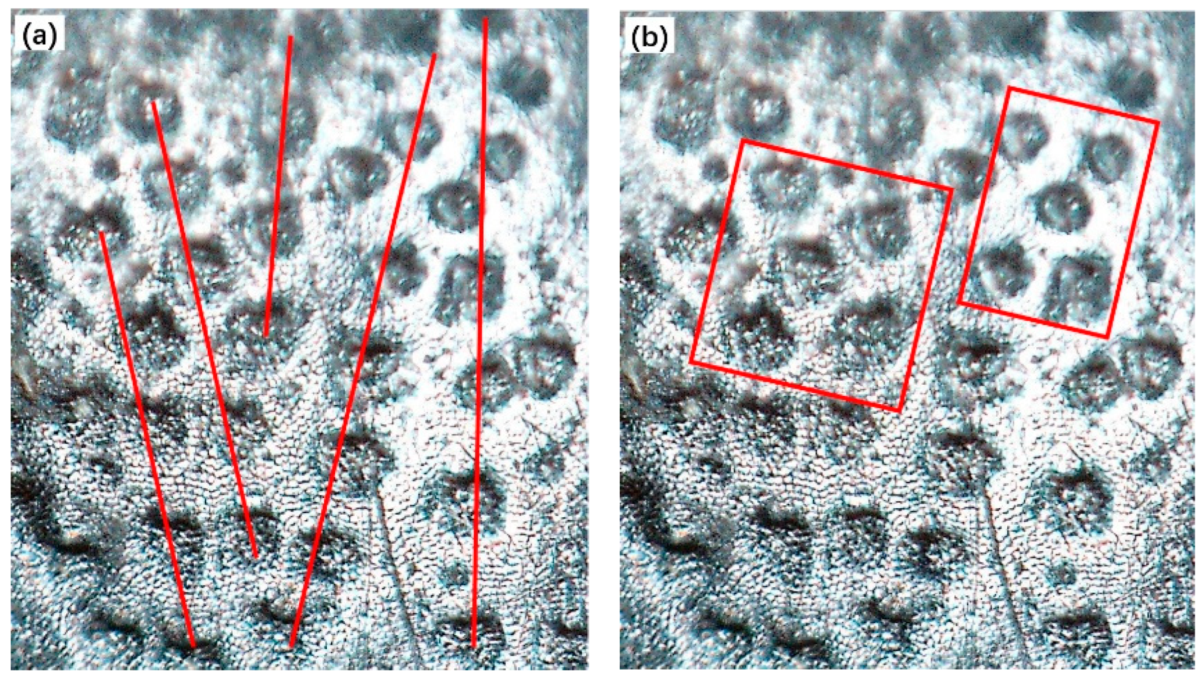 Coatings 13 01768 g002