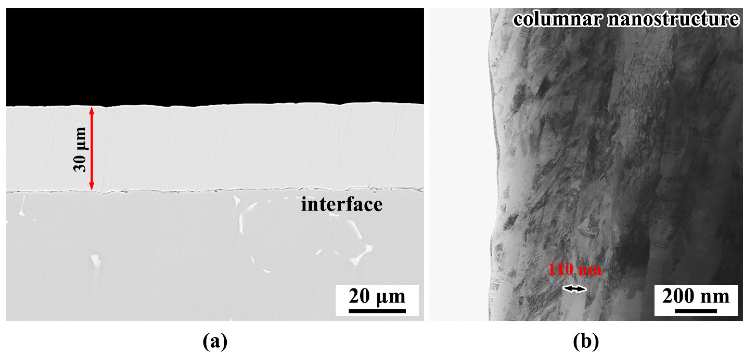 Coatings 13 01770 g001