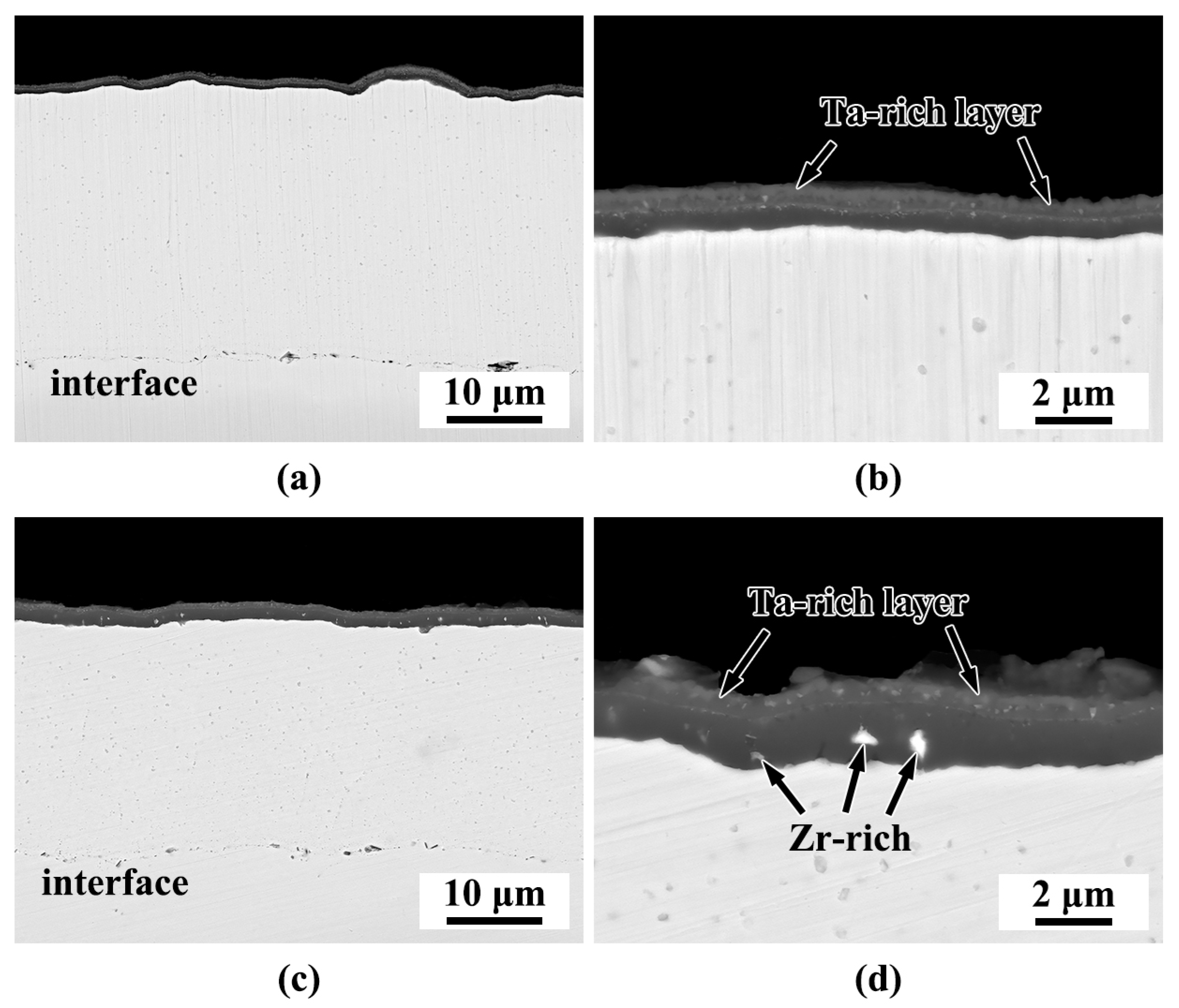 Coatings 13 01770 g008