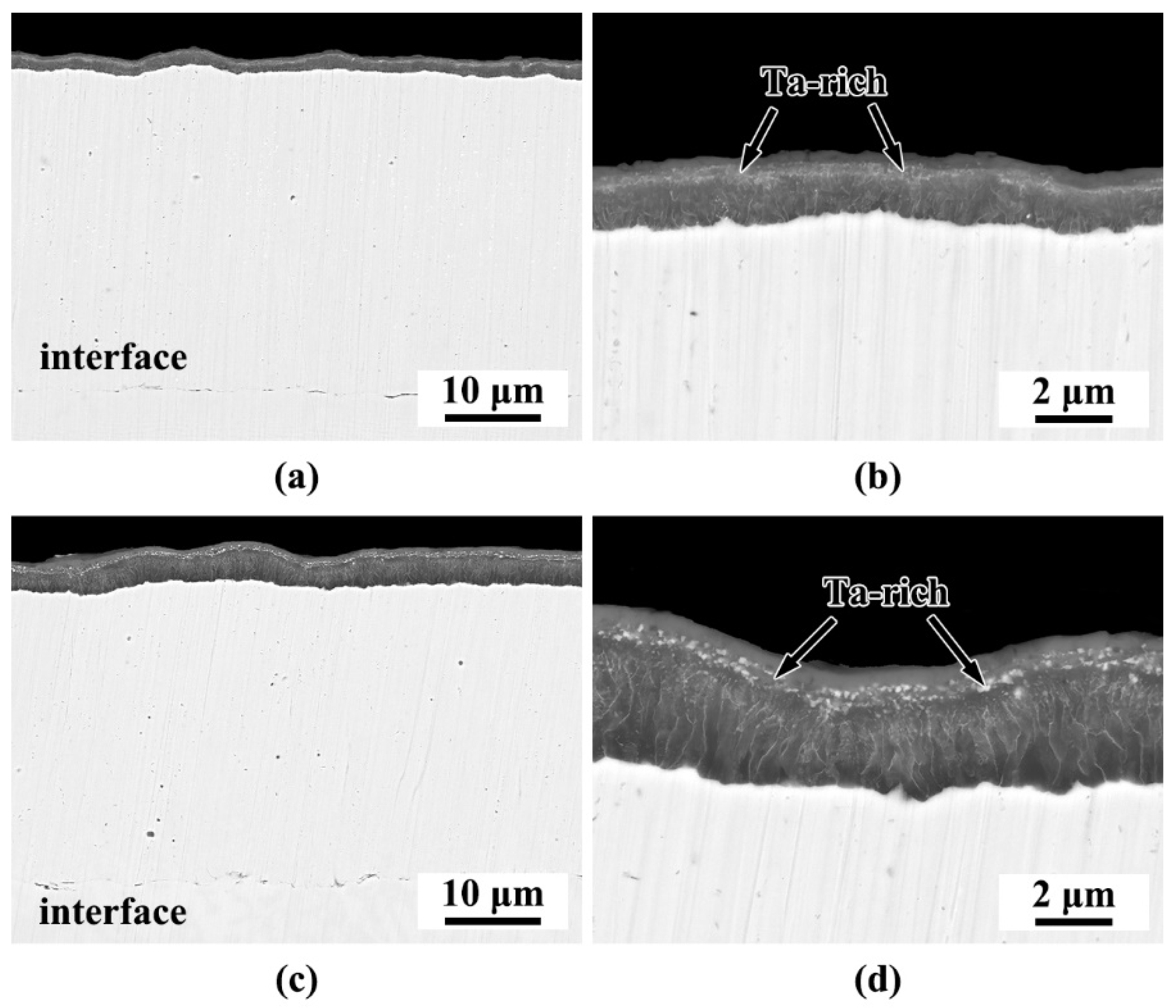Coatings 13 01770 g009