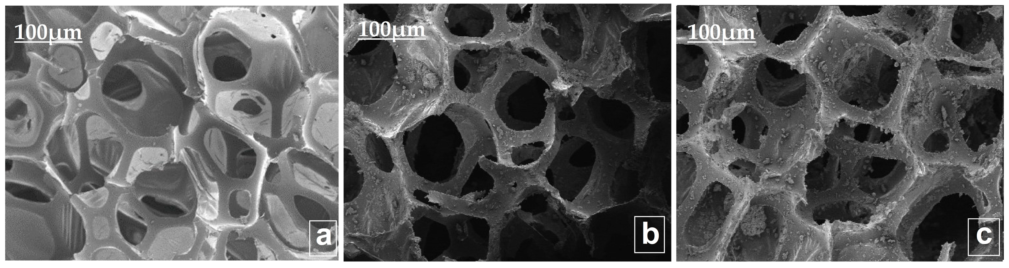 Coatings 13 01777 g001