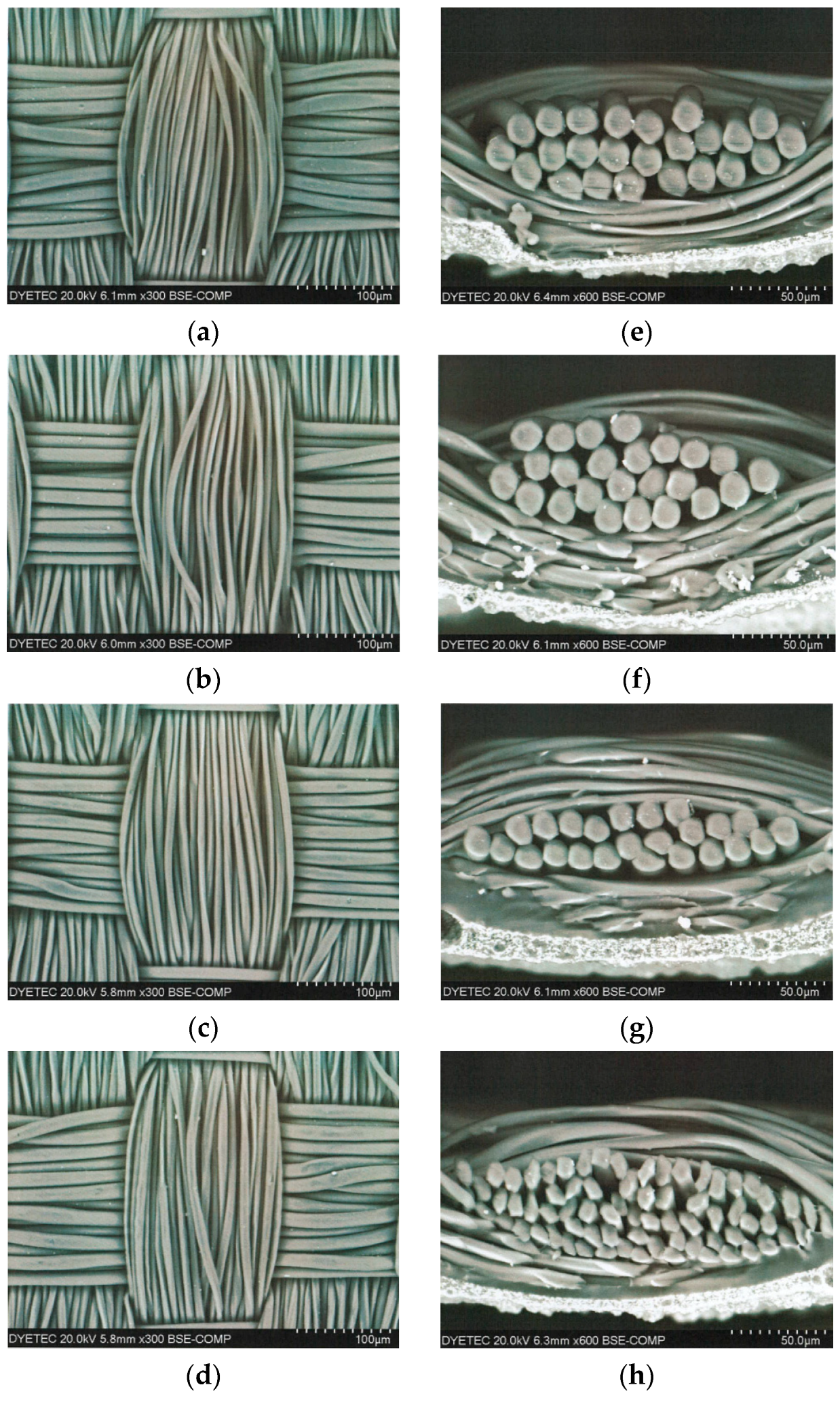 Coatings 13 01778 g008