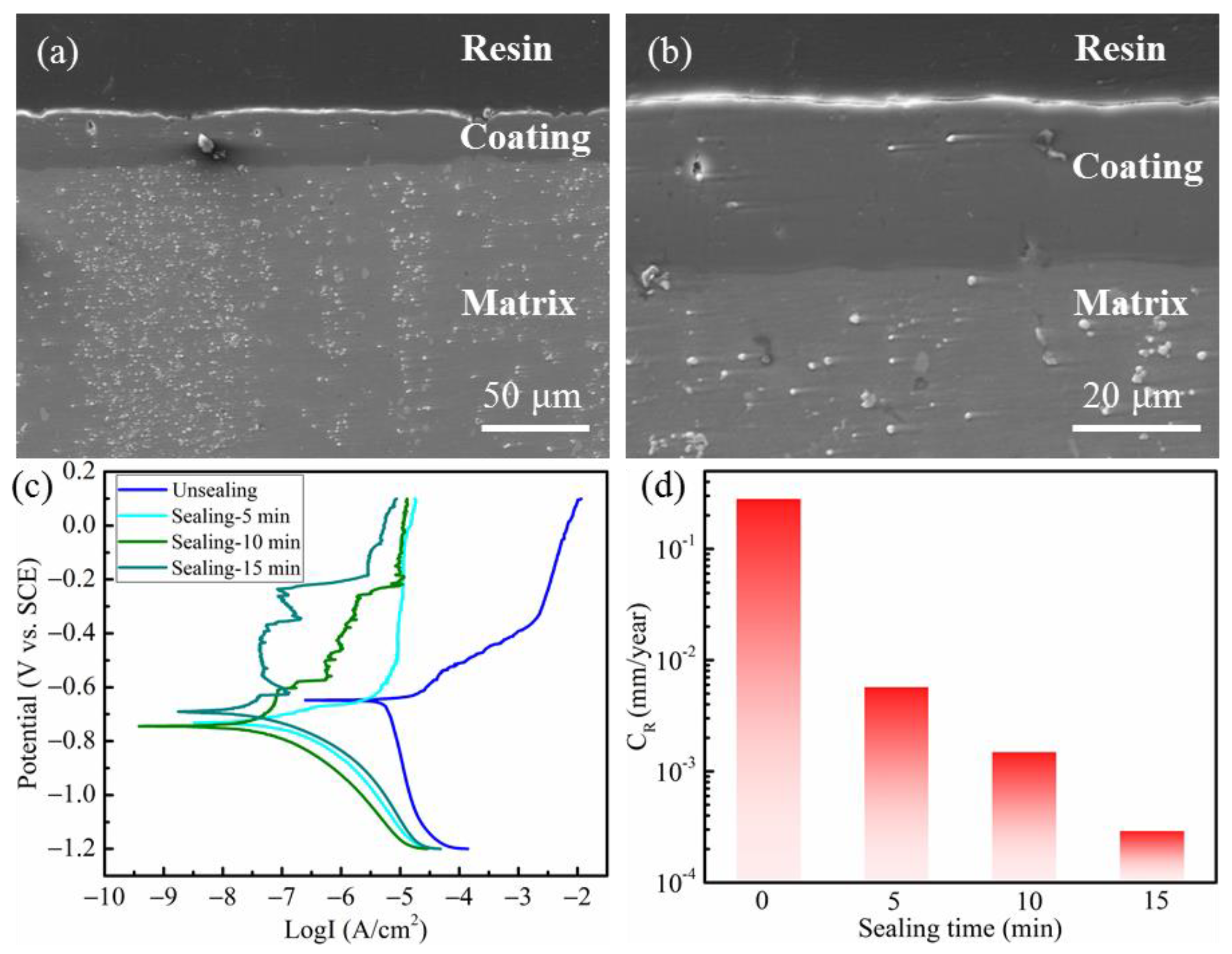 Coatings 13 01780 g010