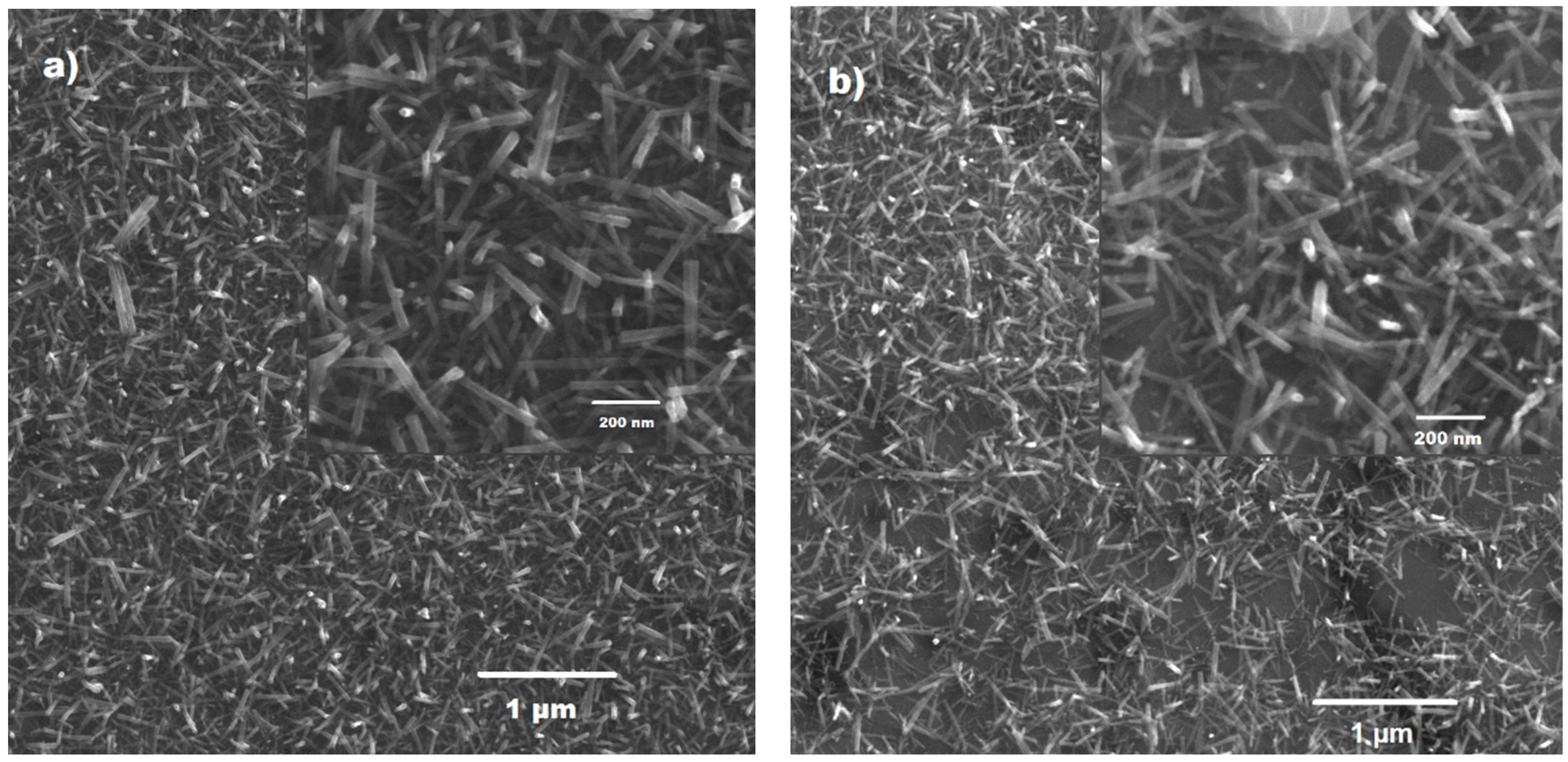 Coatings 13 01786 g007