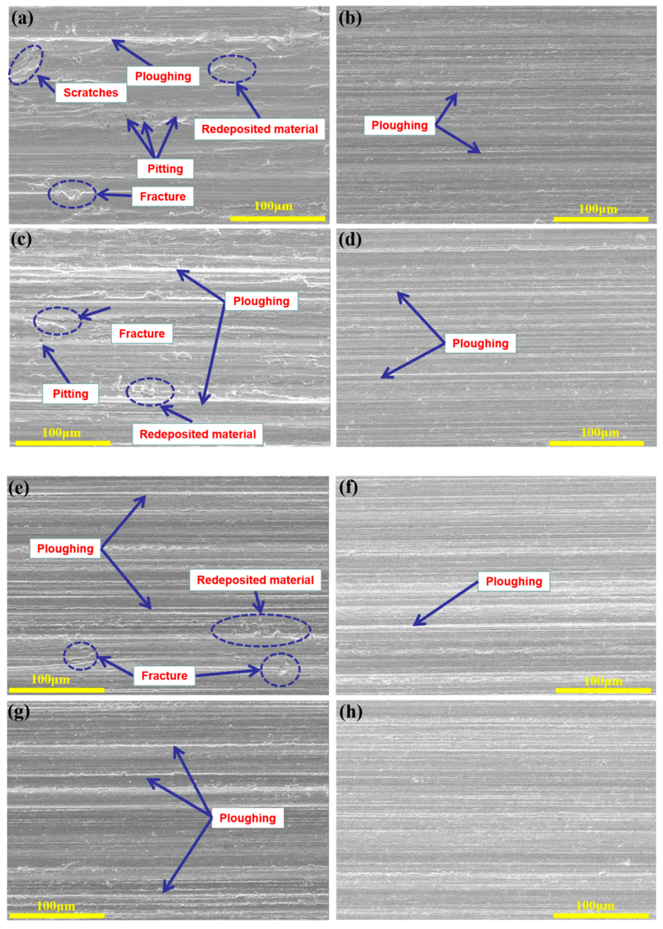 Coatings 13 01788 g009