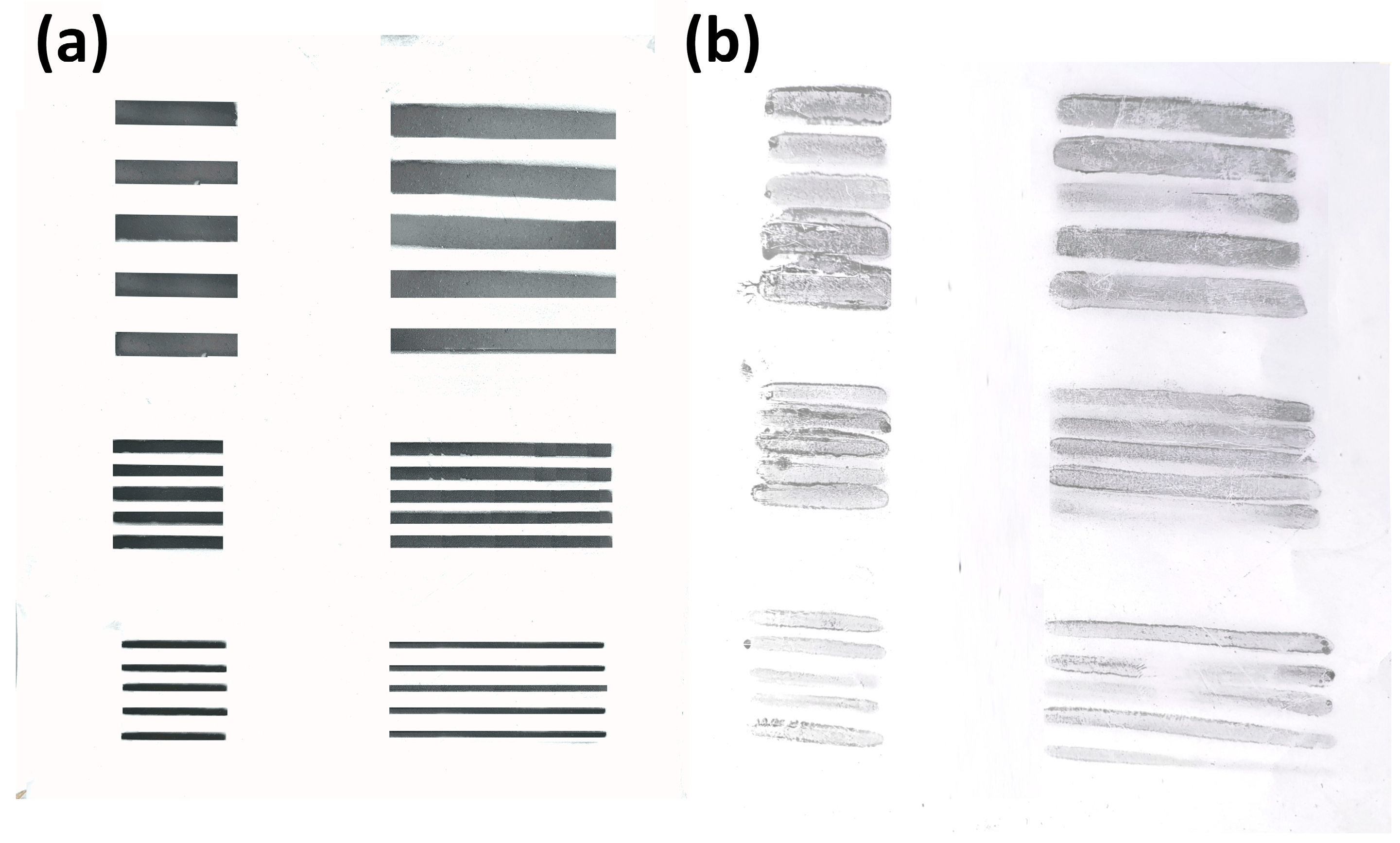 Coatings 13 01791 g003