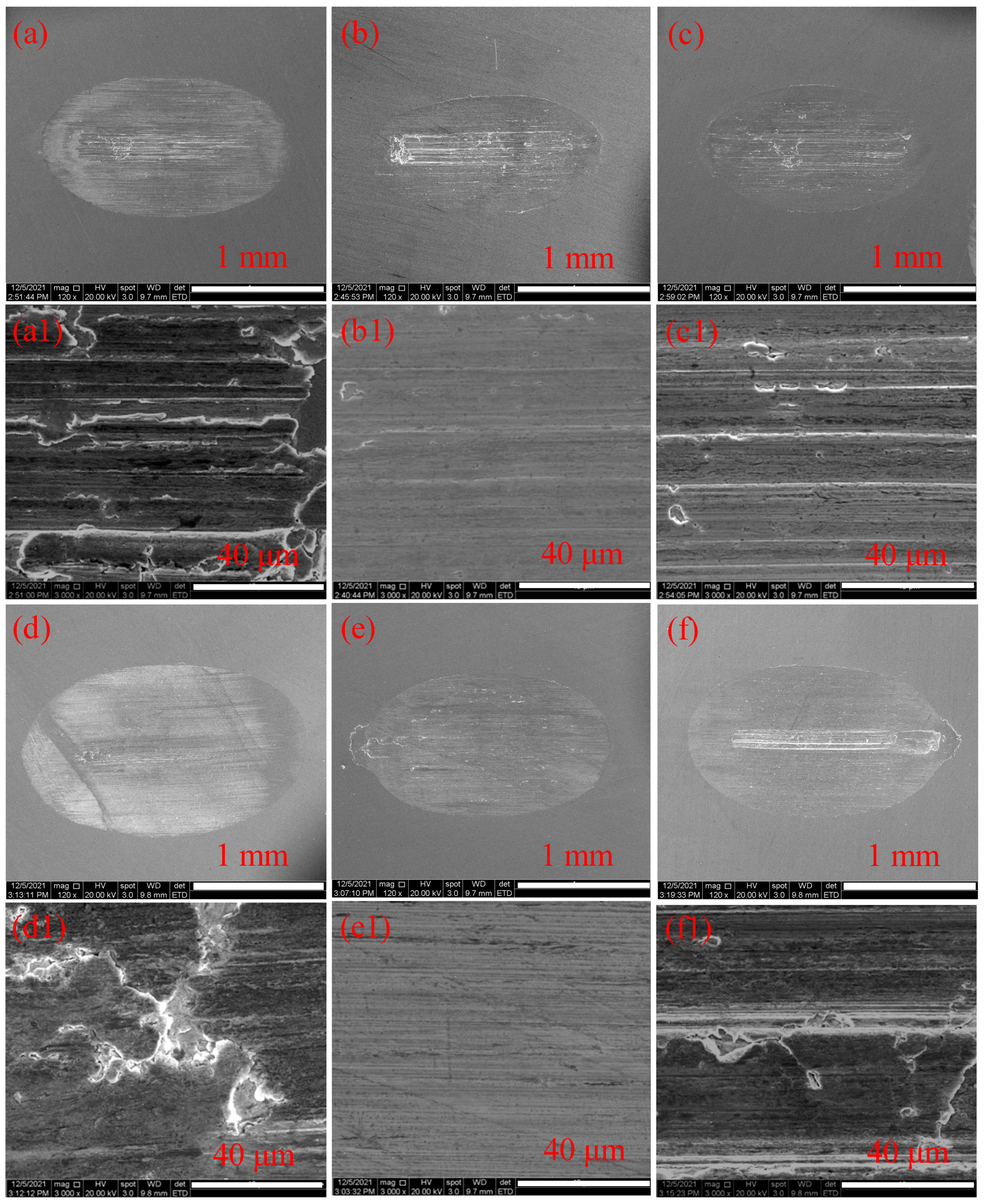 Coatings 13 01793 g009