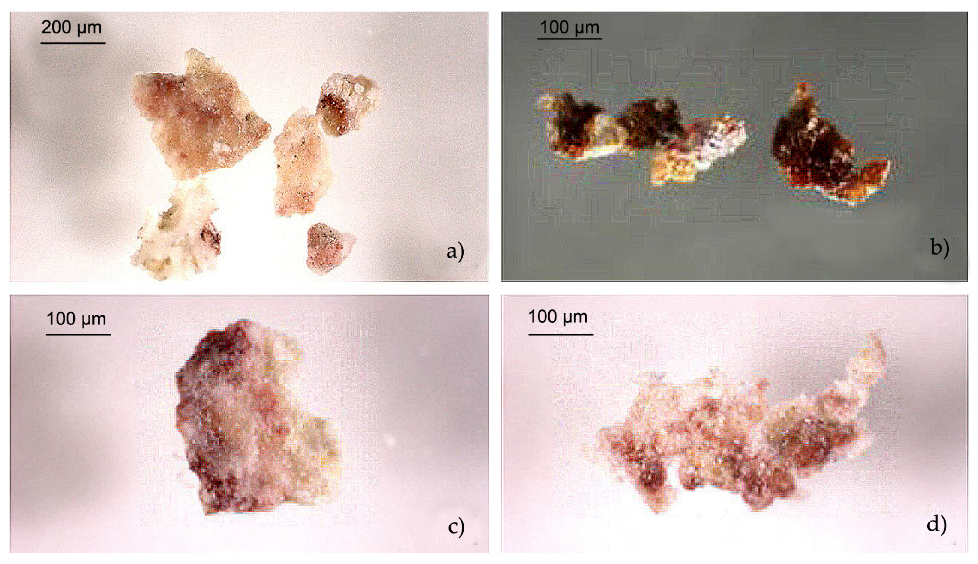 Coatings 13 01798 g004