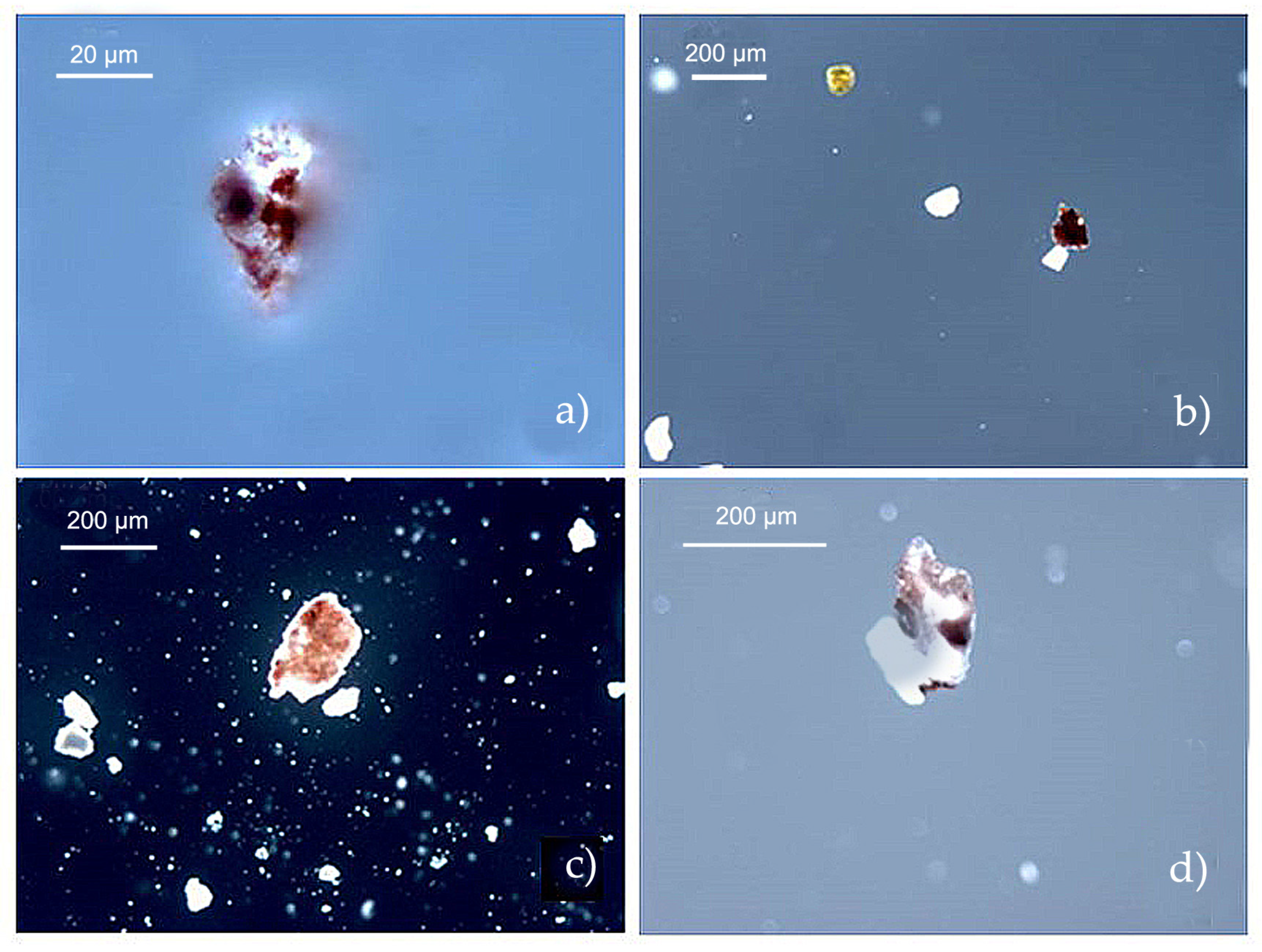 Coatings 13 01798 g005