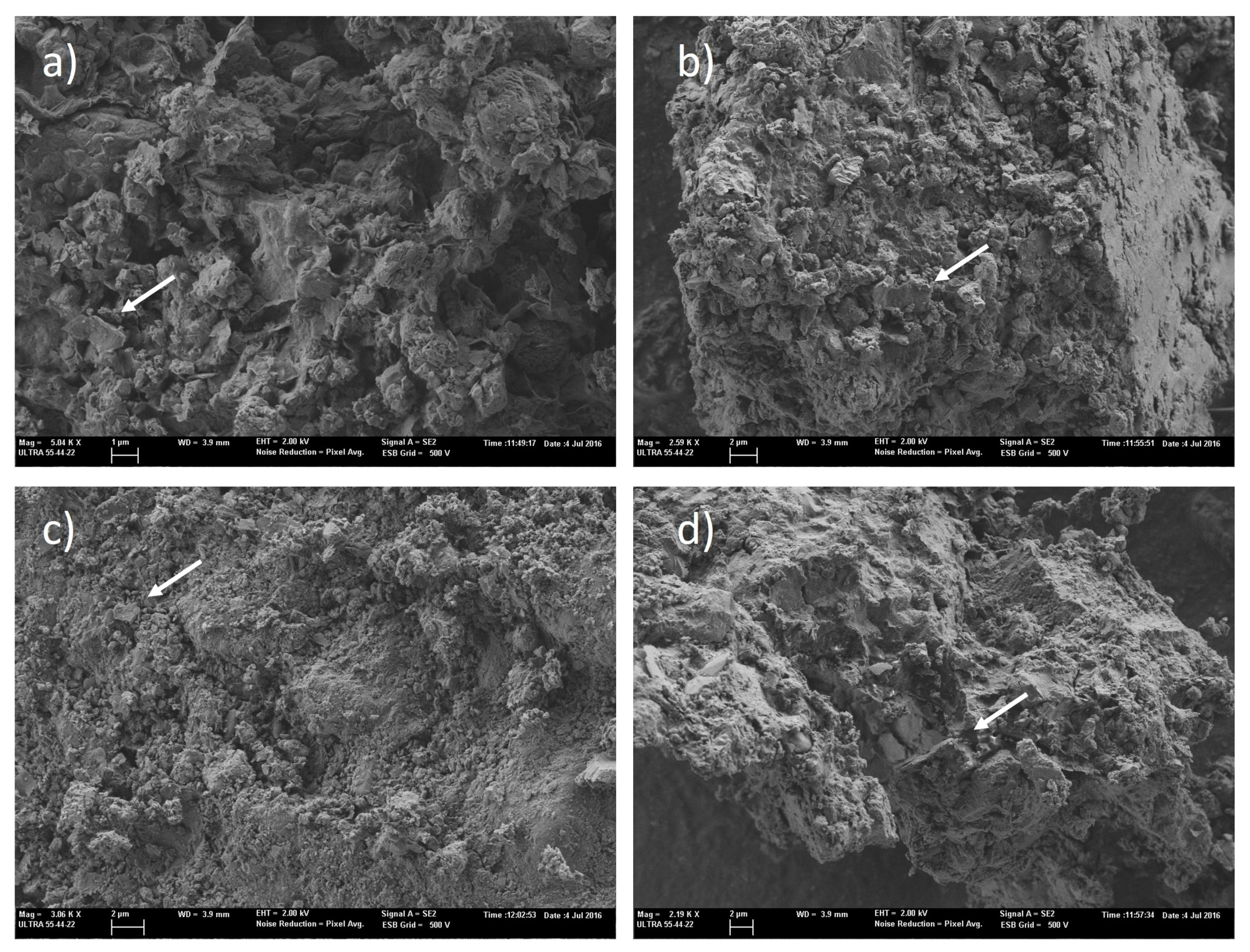 Coatings 13 01798 g006