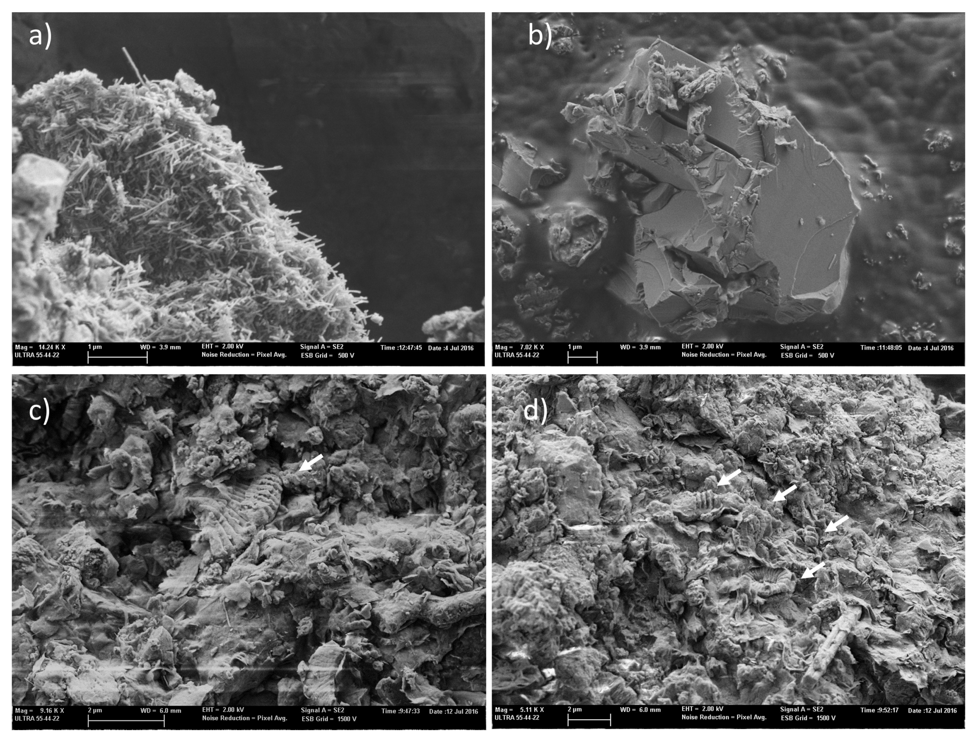 Coatings 13 01798 g007